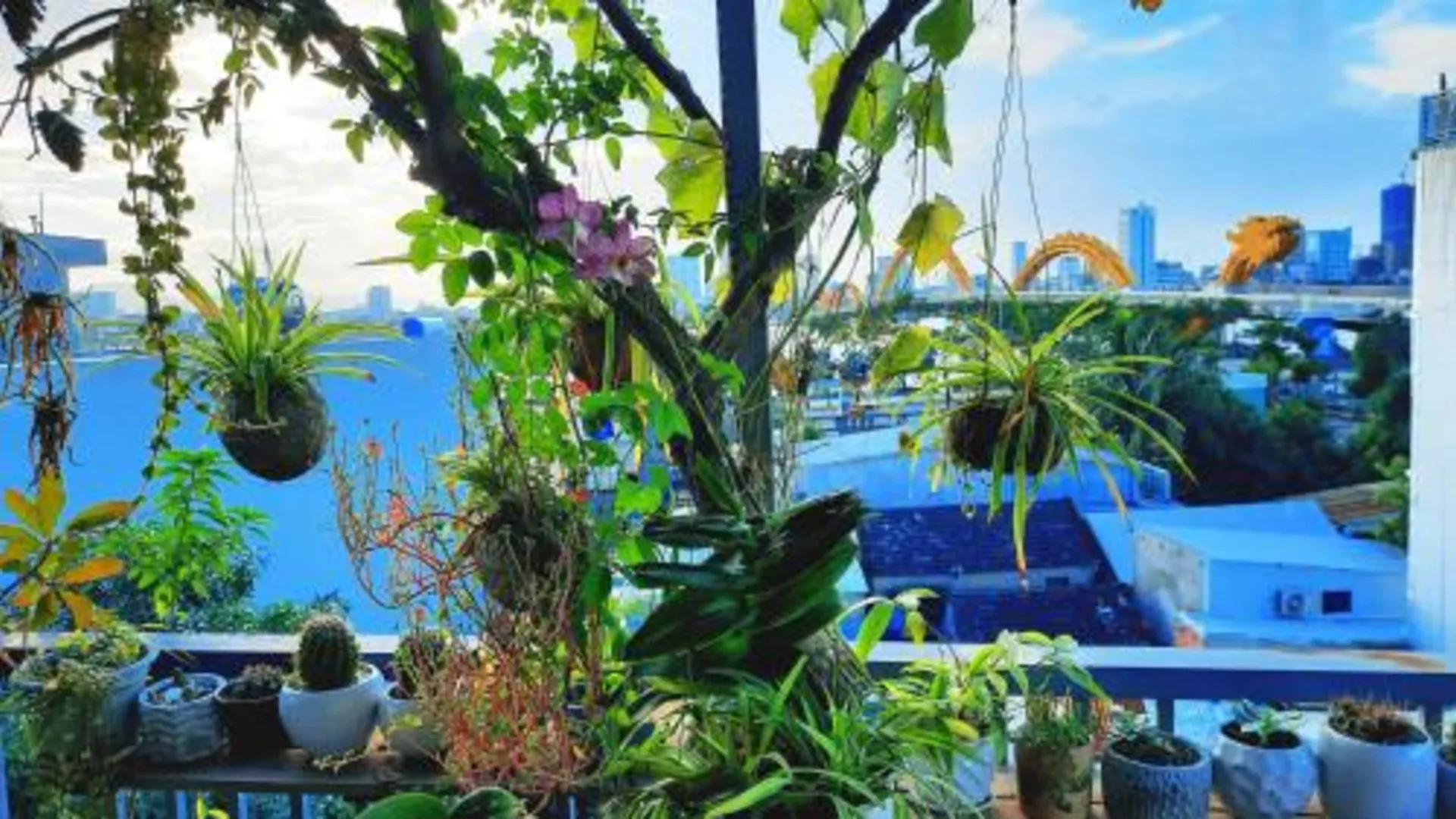 다낭 푸옥미의 프라이빗 하우스 (17m², 침실 1개, 프라이빗 욕실 1개) 5성급 게스트하우스 외관