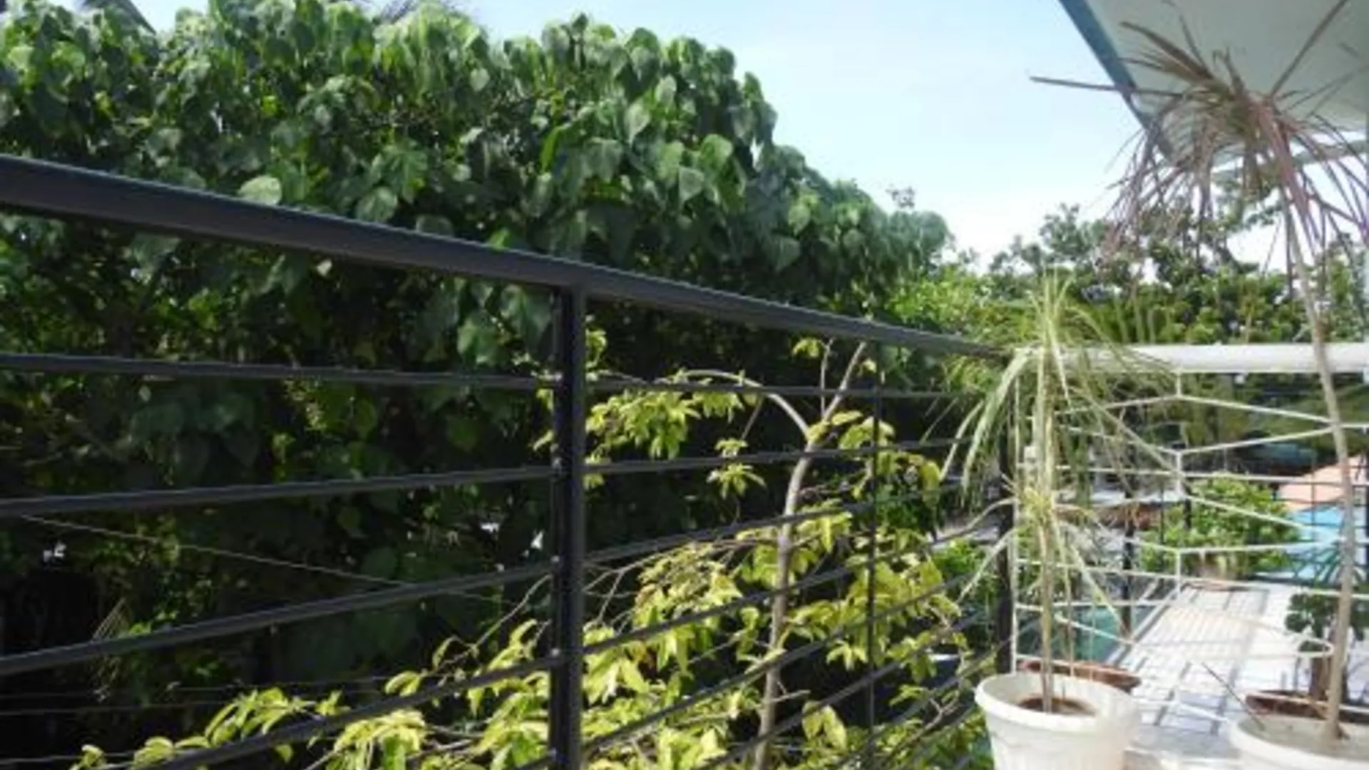 세부 퍼시피코 씨사이드 로지 호텔 로비