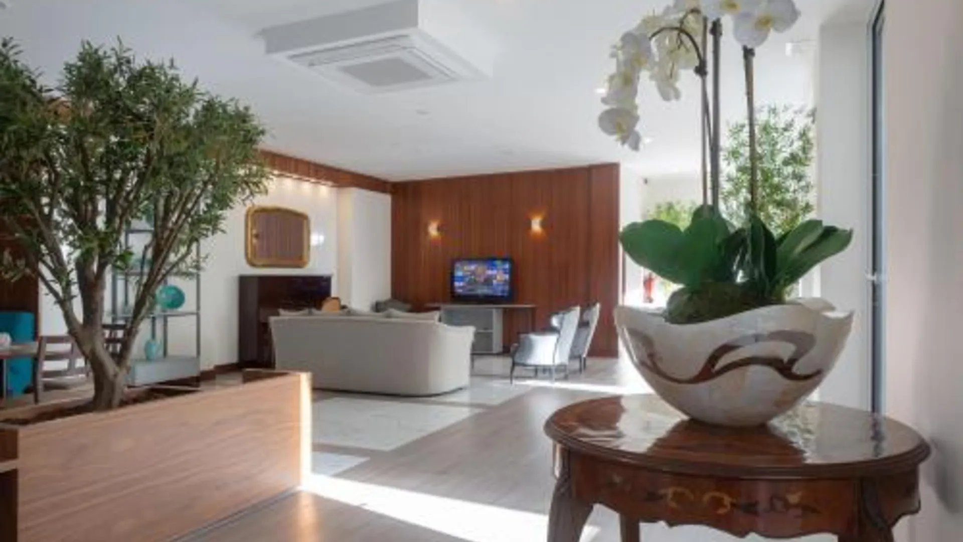 아베이루 Hotel Afonso V 3성급 호텔 로비