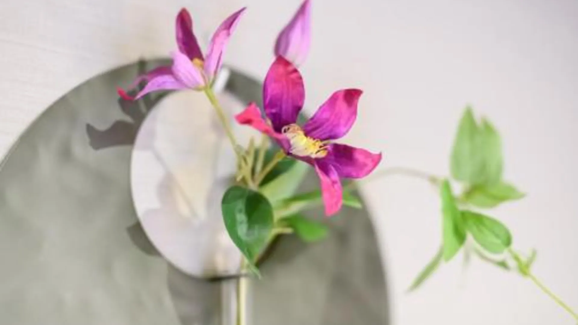 교토 JPINN 교토 에키마에 몽가쿠초 5성급 호텔 스위트룸