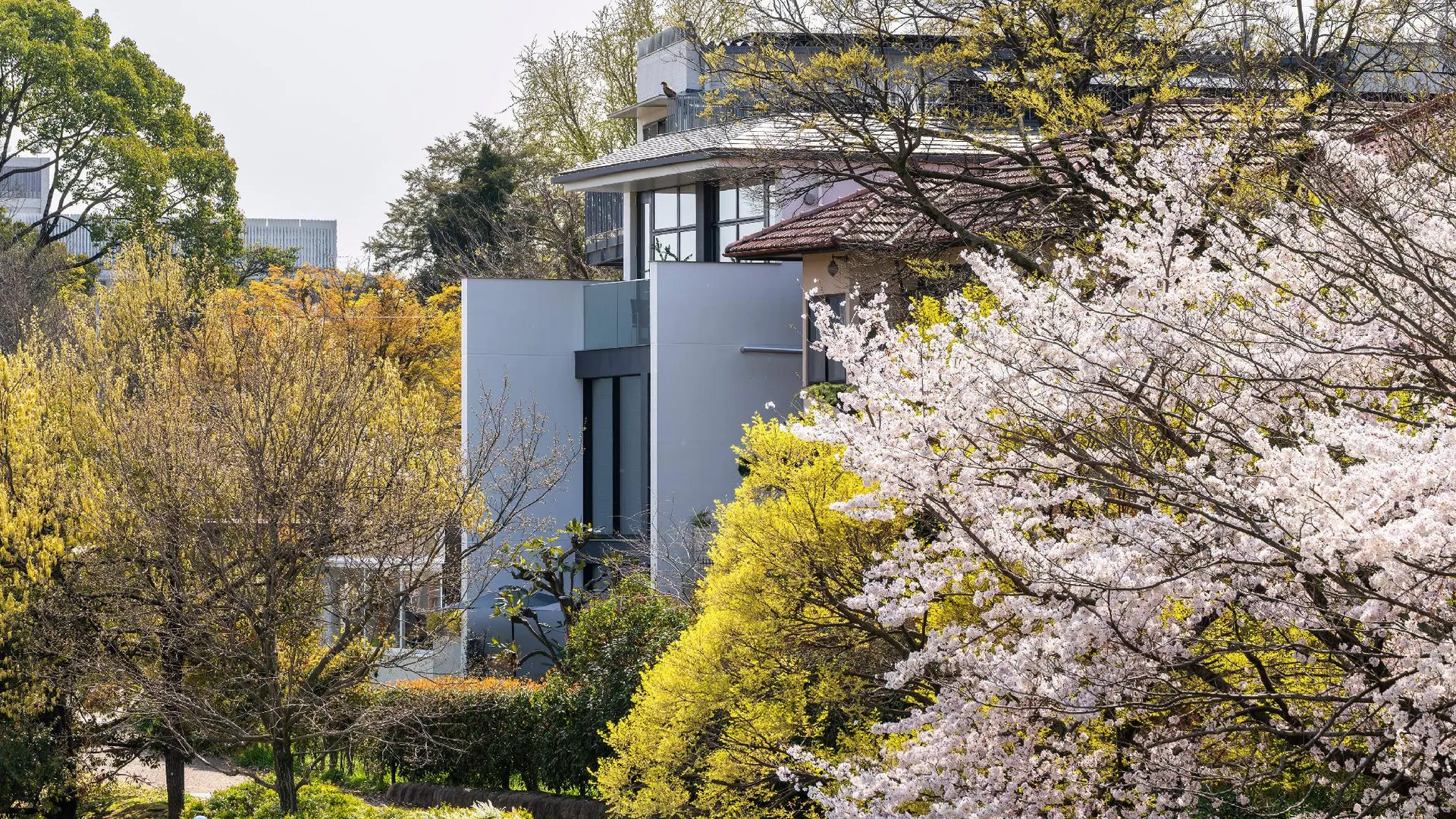 교토 Kamo Residences by Reflections 5성급 호텔 객실