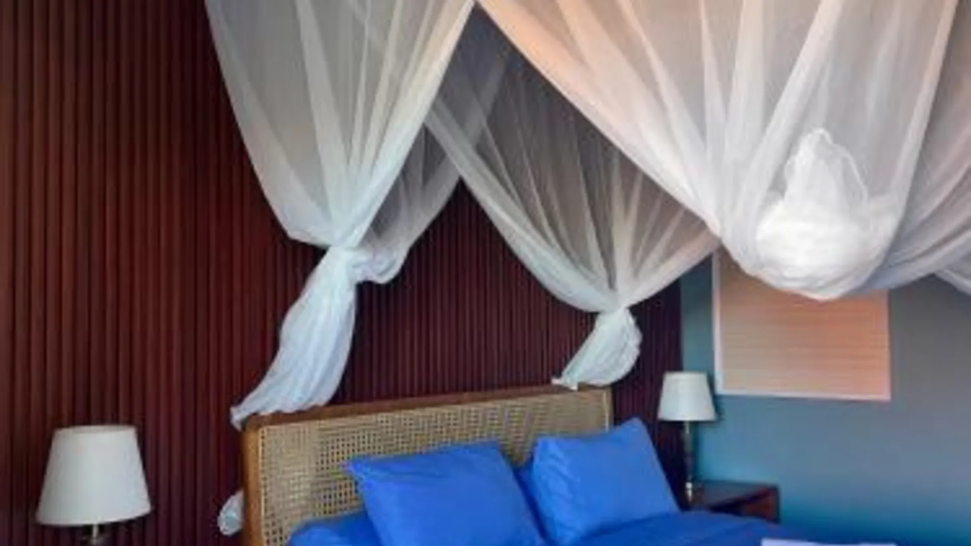 발리 Varmana Ubud - The Blue House 3성급 호텔 부대시설