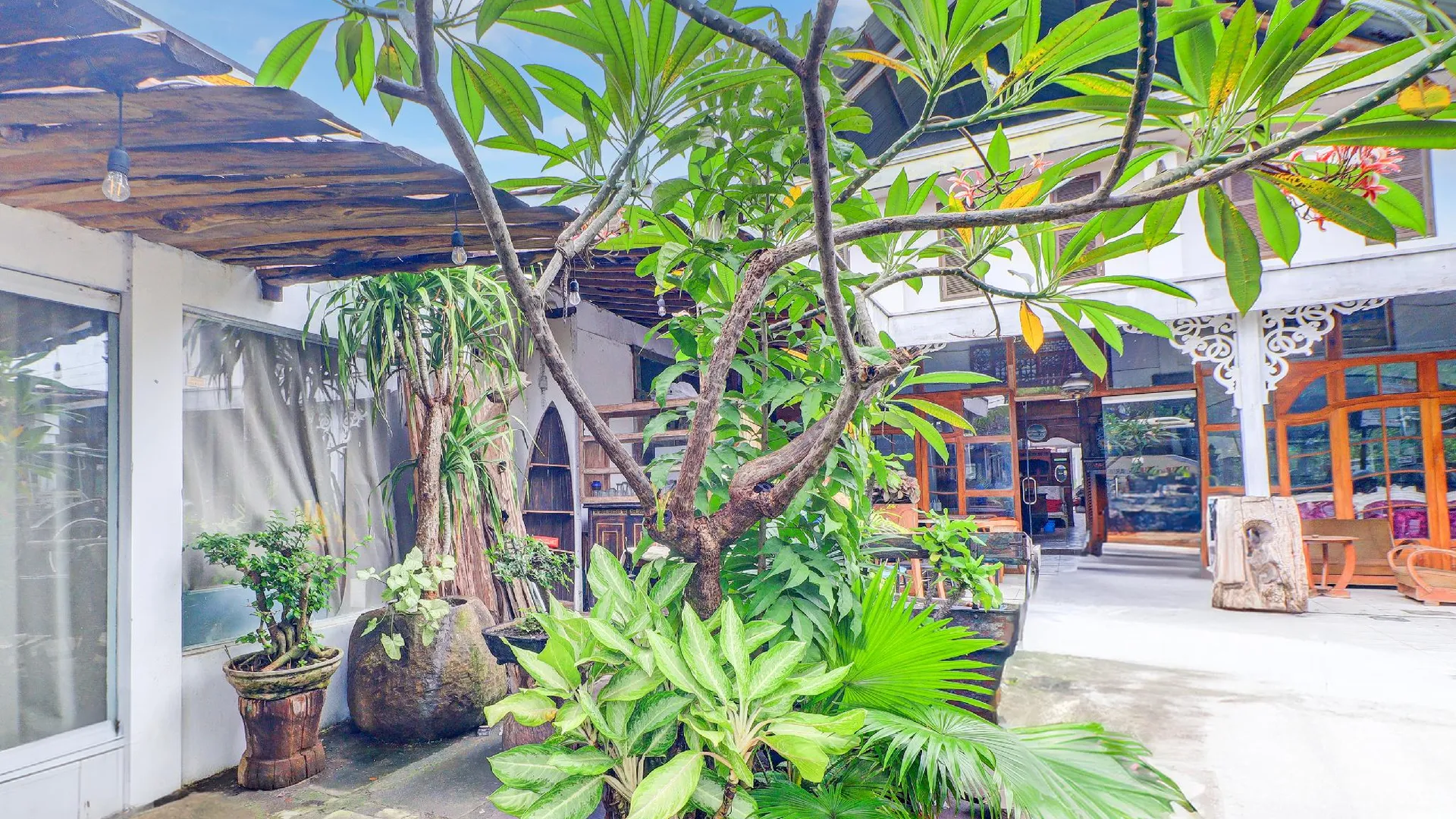 발리 컬렉션 O 사누르 발리 이그조틱 마린 파크 근처 3성급 호텔 수영장