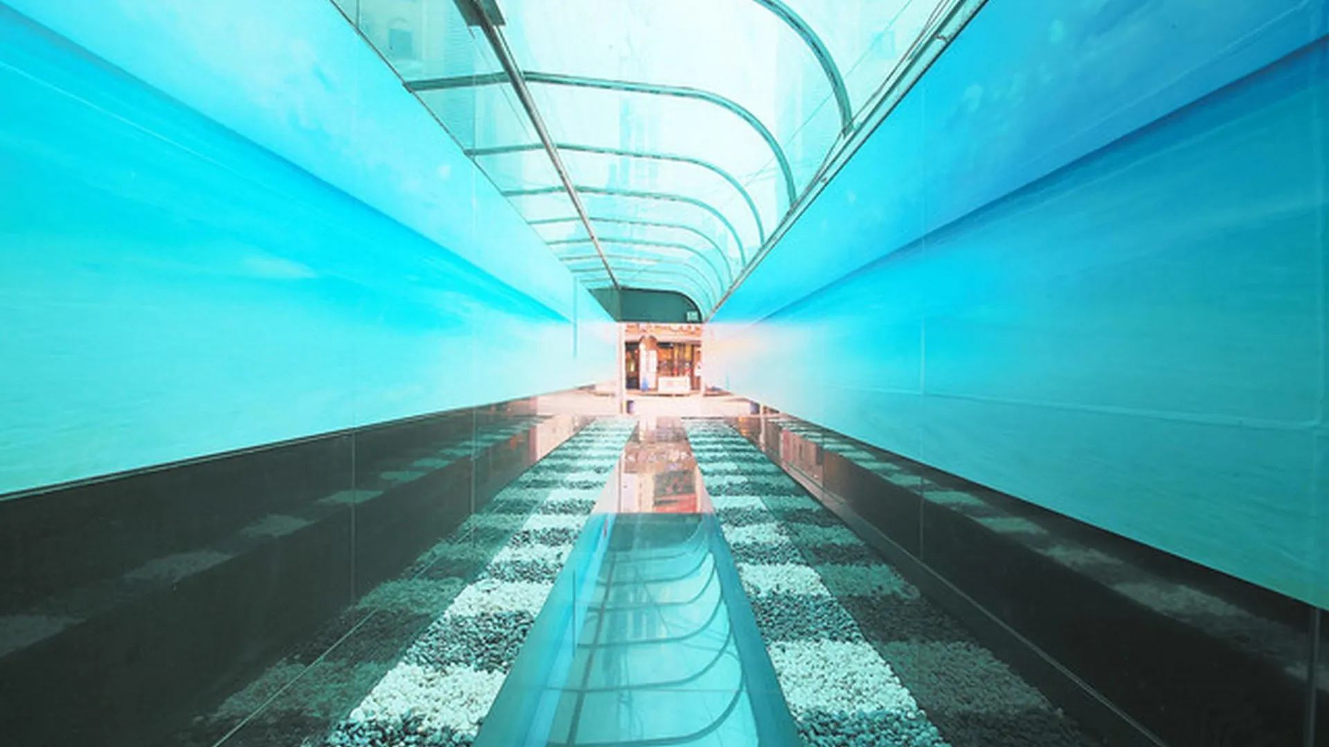 서울 길동 아르고 호텔 1성급 호텔 레스토랑