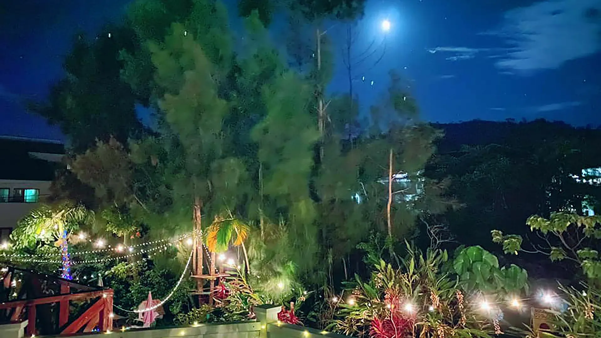 오키나와 본섬 스태리 포레스트 코티지 4성급 게스트하우스 레스토랑