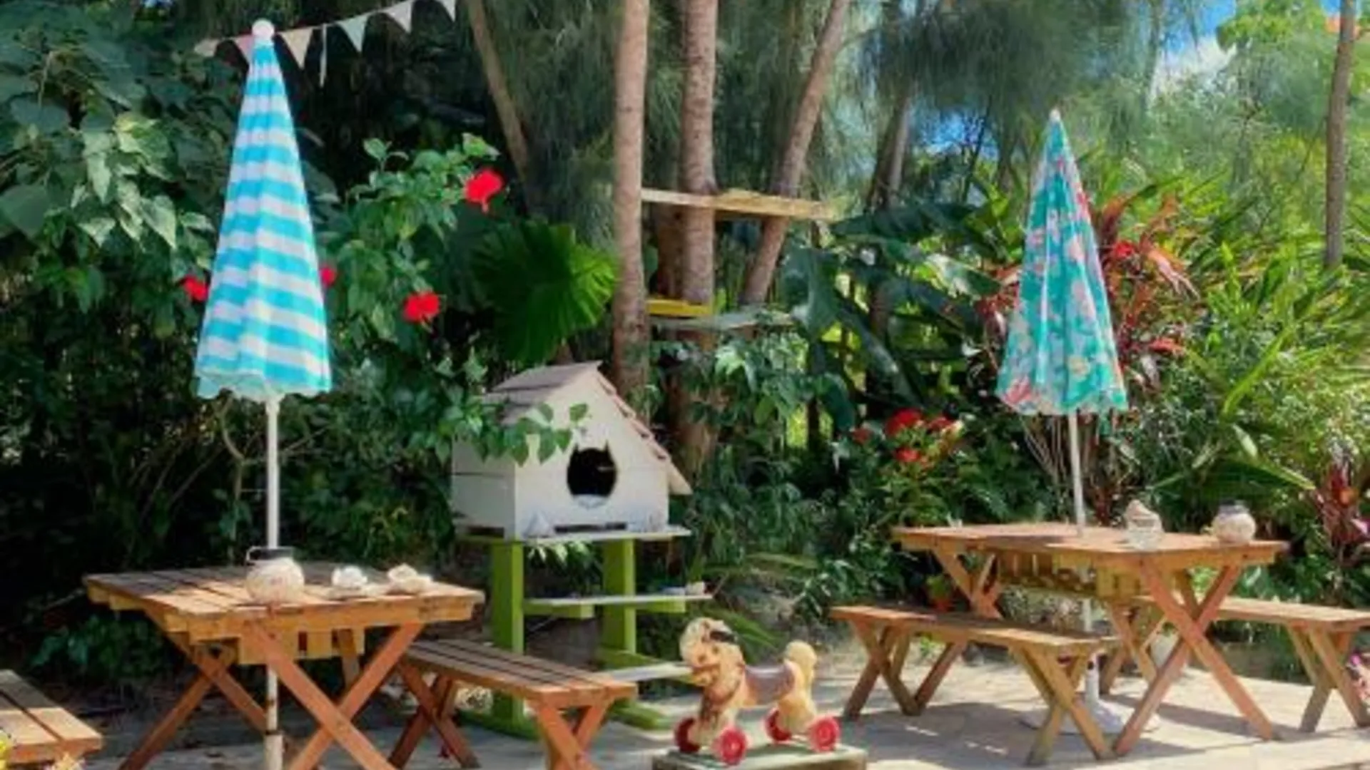 오키나와 본섬 스태리 포레스트 코티지 4성급 게스트하우스 객실