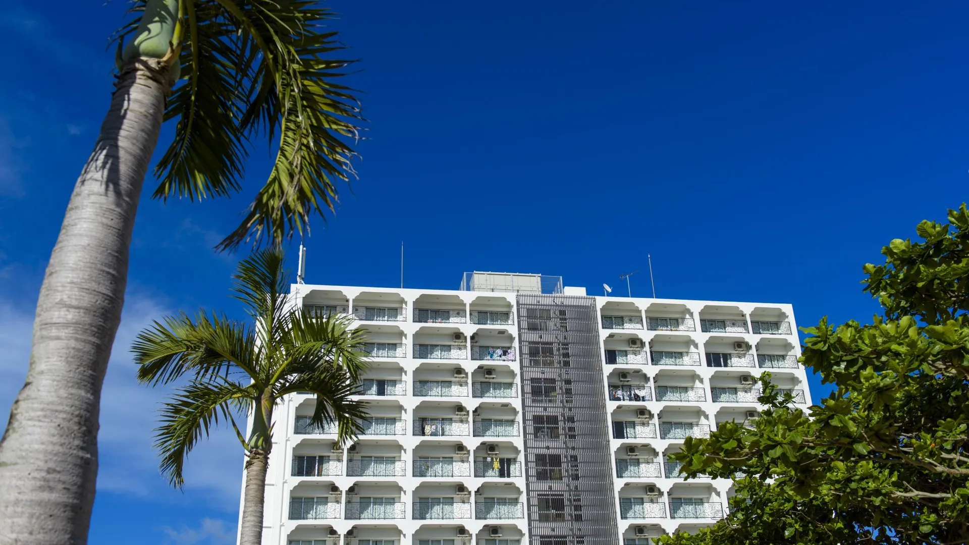 오키나와 본섬 콘도미니엄 호텔 몽파 3성급 호텔 객실