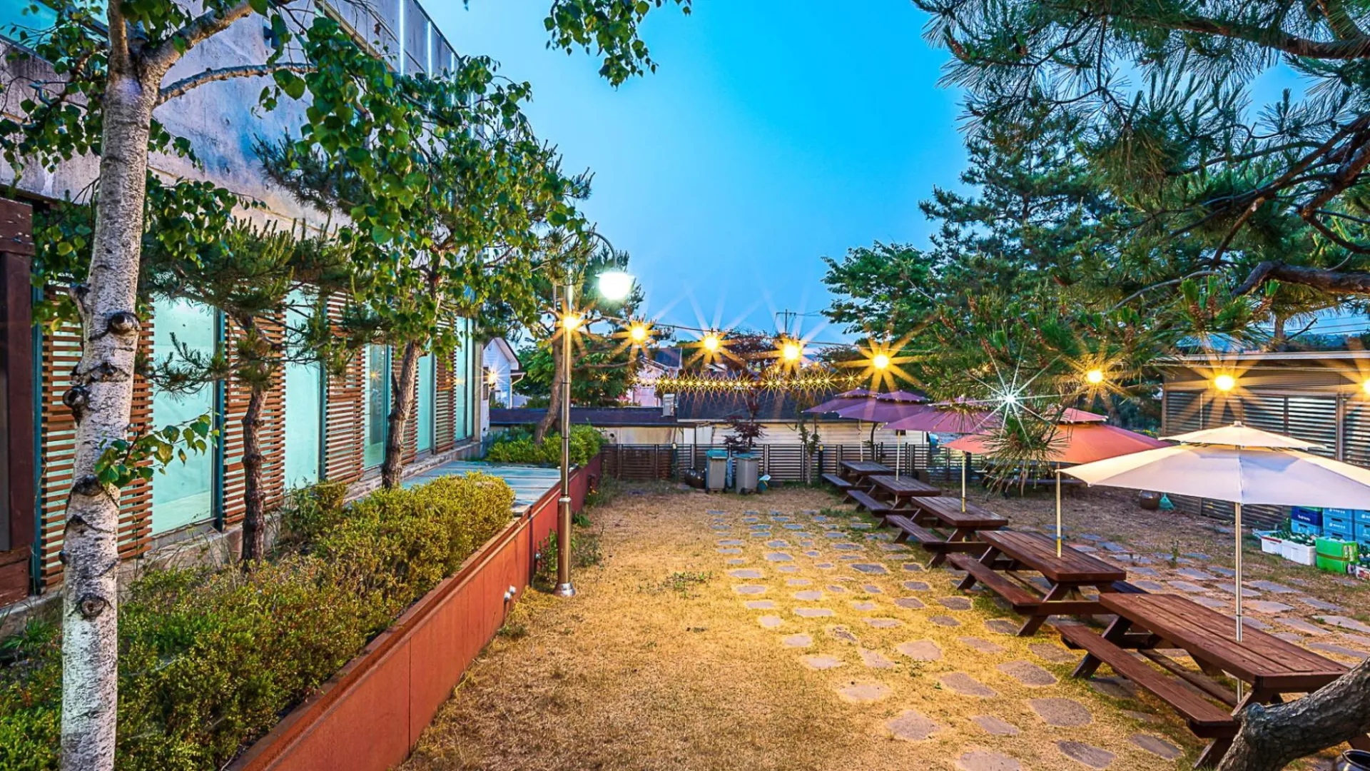 태안 자작나무 리조트 3성급 게스트하우스 부대시설