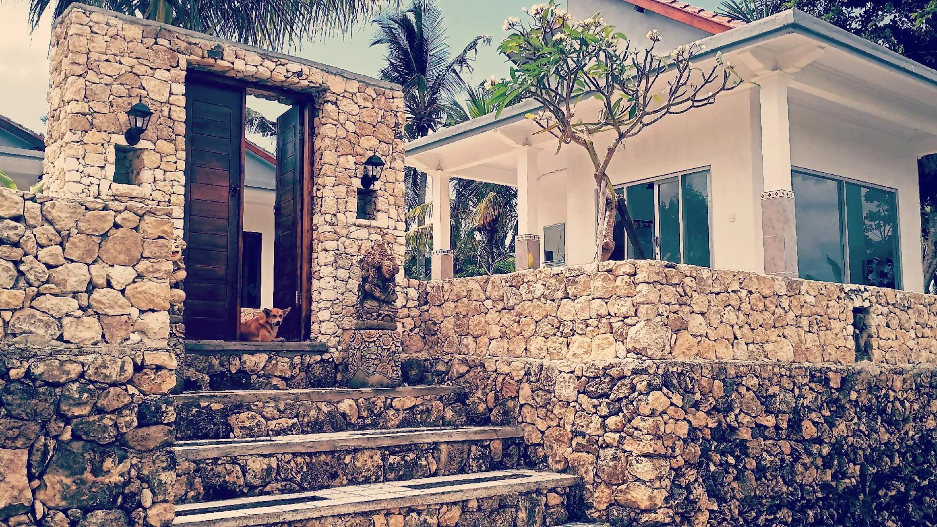 발리 누사 페니다의 프라이빗 하우스 (16m², 침실 2개, 프라이빗 욕실 2개) 2성급 싱글룸 외관