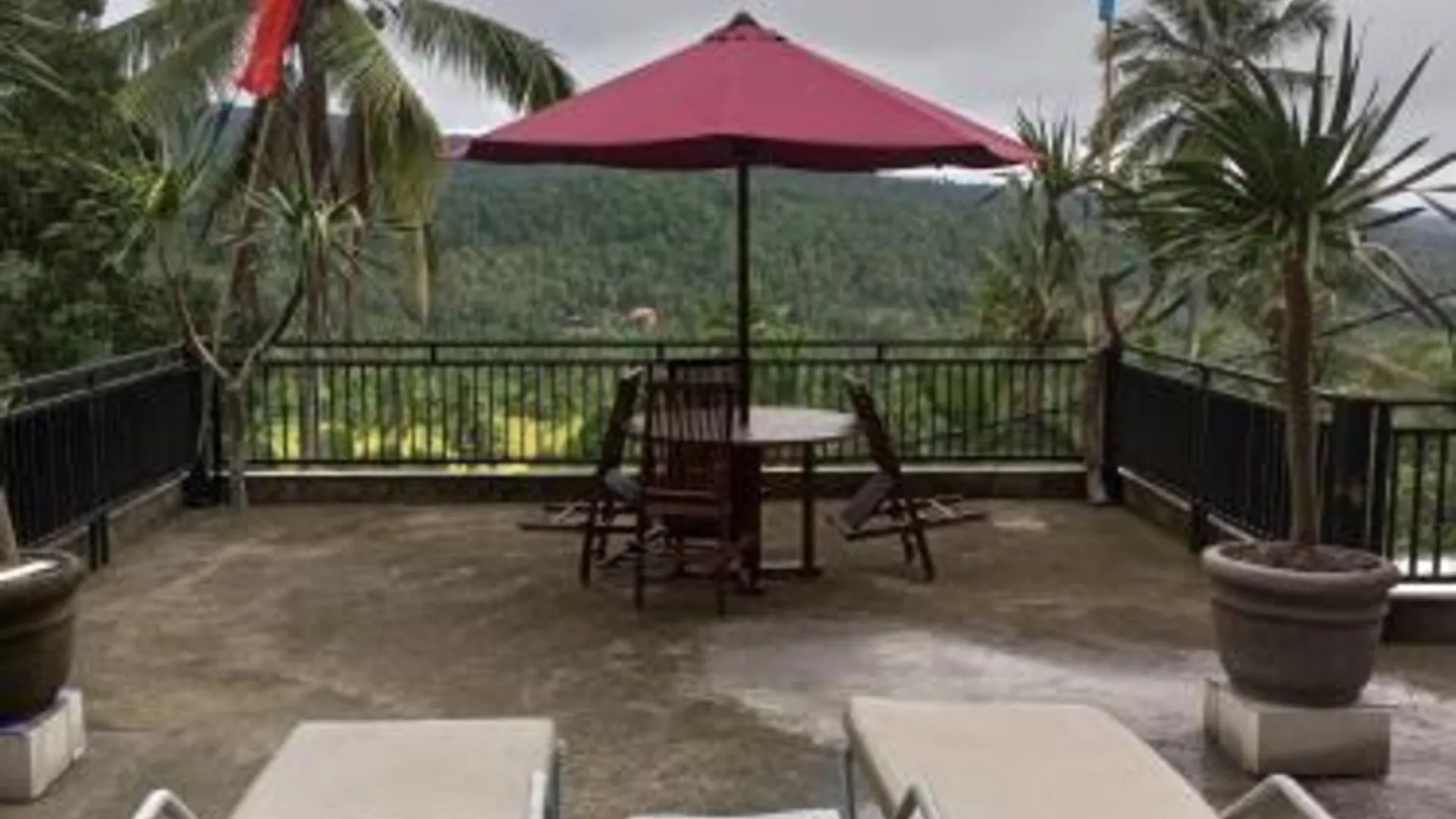 발리 Bali Praya House 4성급 호텔 수영장