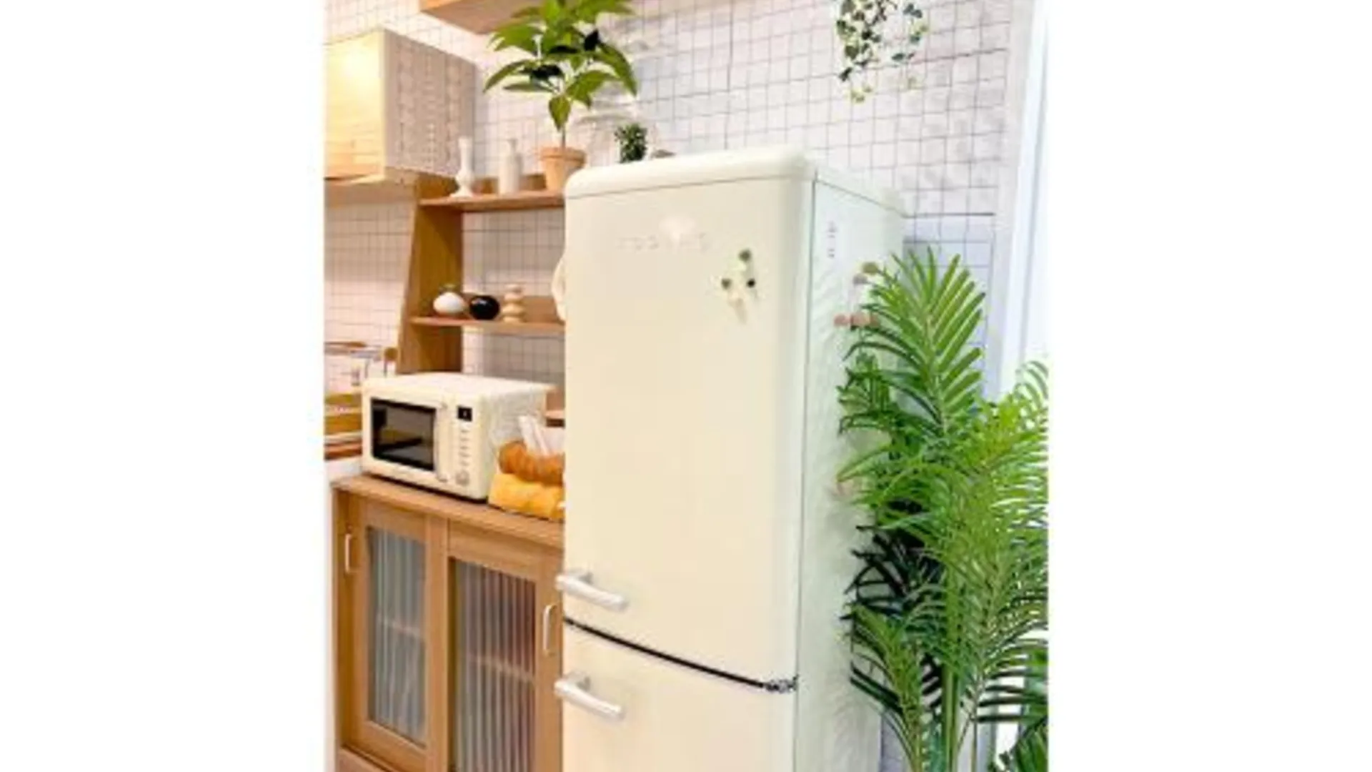 서울 옐로우 문 스테이 2성급 싱글룸 부대시설