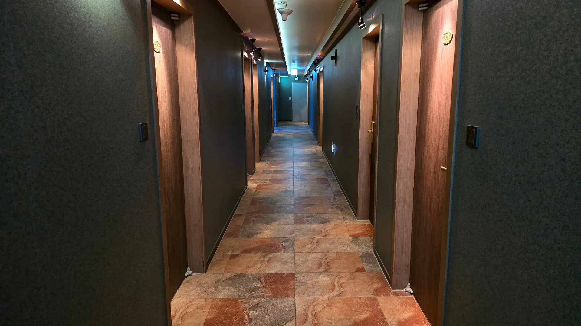 이천 용인 뉴스카이 호텔 호텔 외관