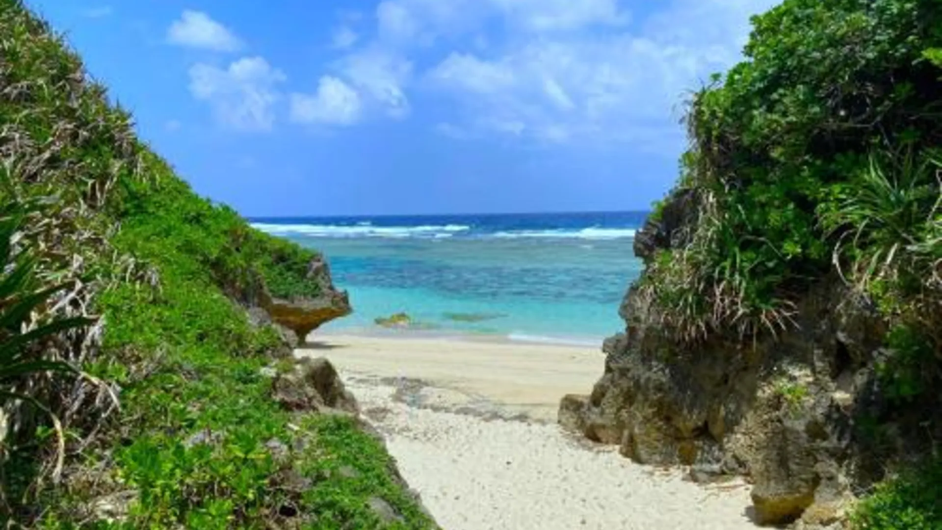 오키나와 본섬 Nakijin Resort Guest House 3성급 호텔 레스토랑