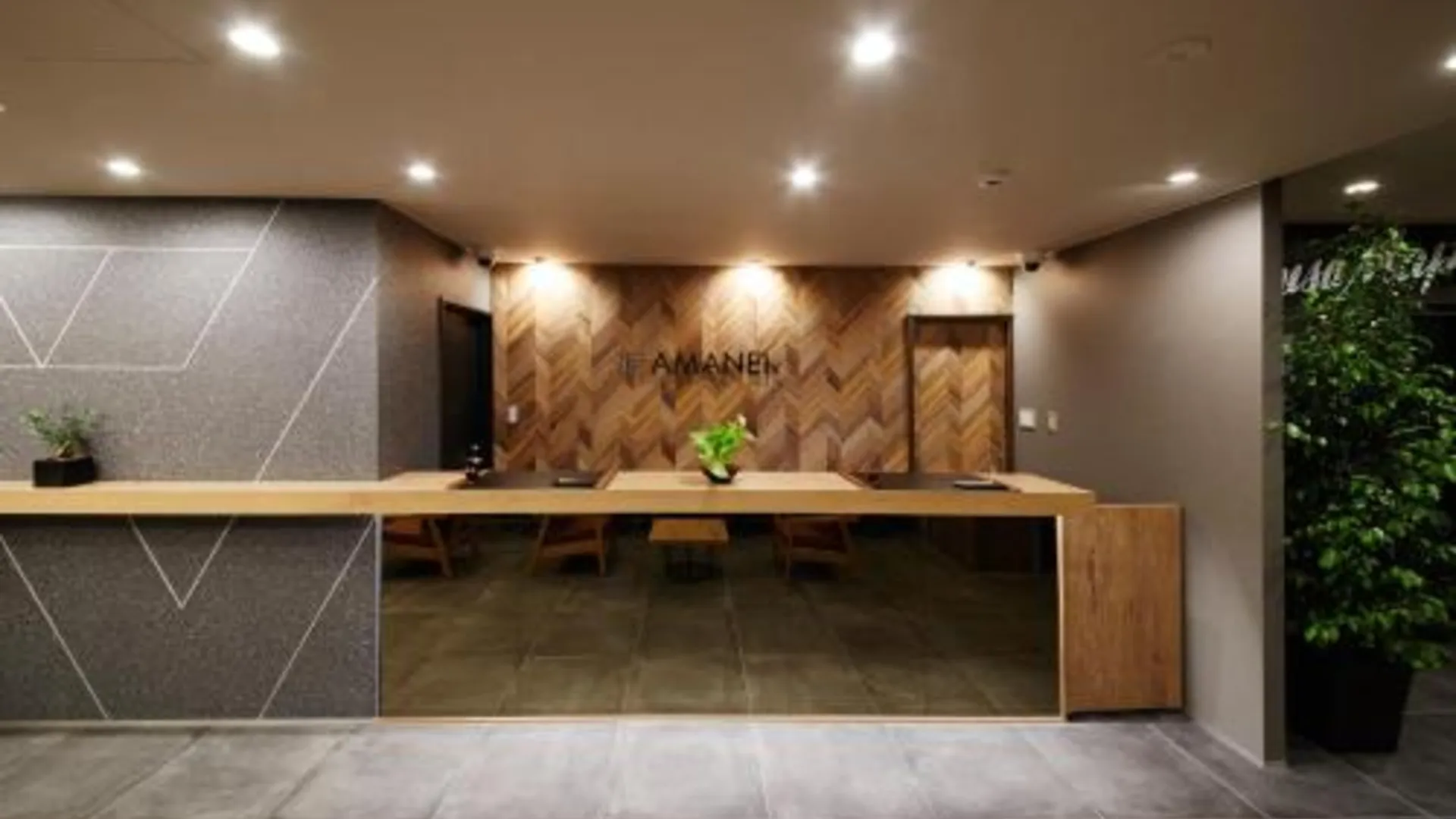 도쿄 / 동경 호텔 아마넥 아사쿠사 에키마에 3성급 호텔 객실