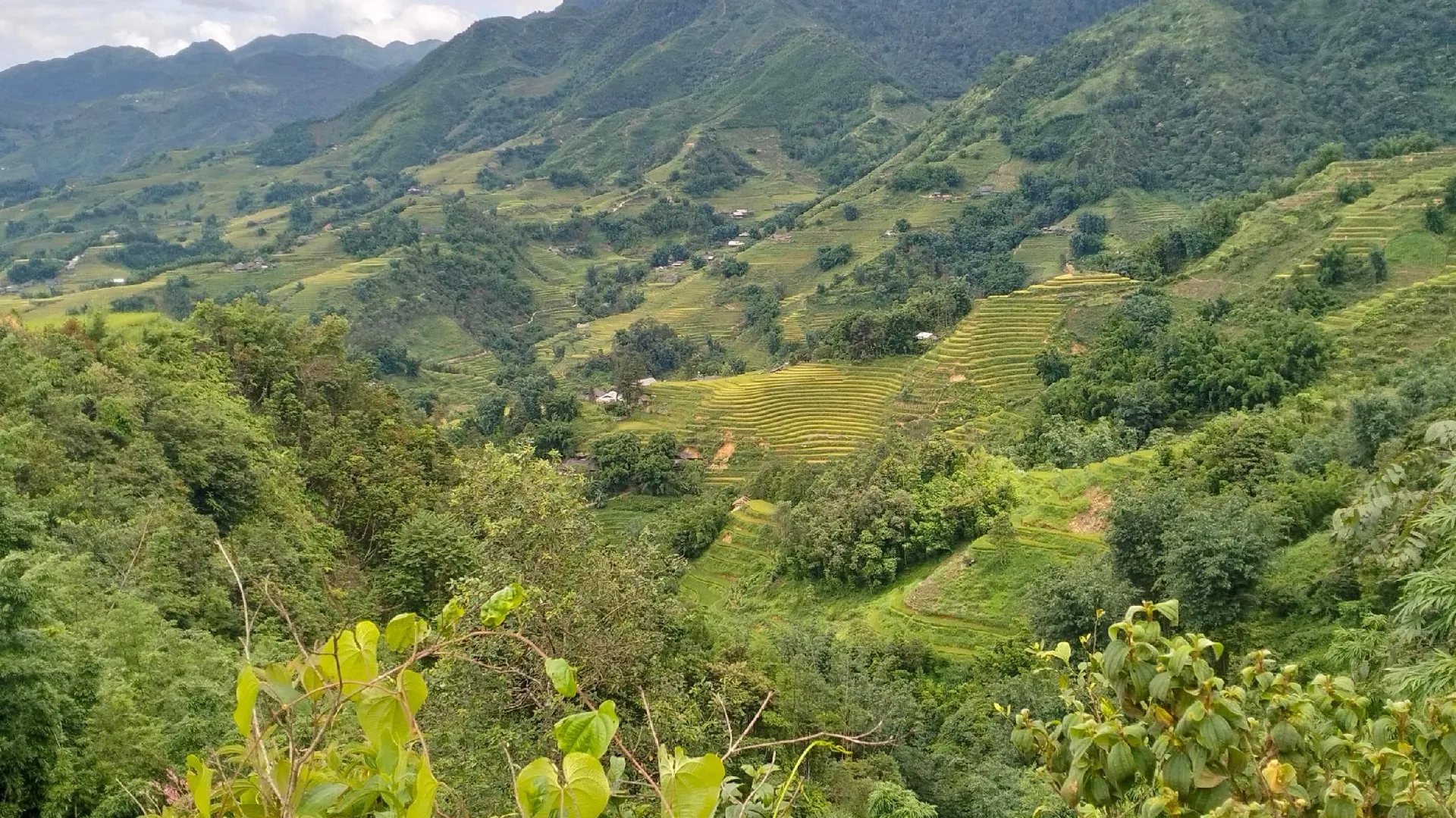 사파 사빠 도심의 방갈로 (30m², 침실 1개, 프라이빗 욕실 1개) 2성급 싱글룸 레스토랑