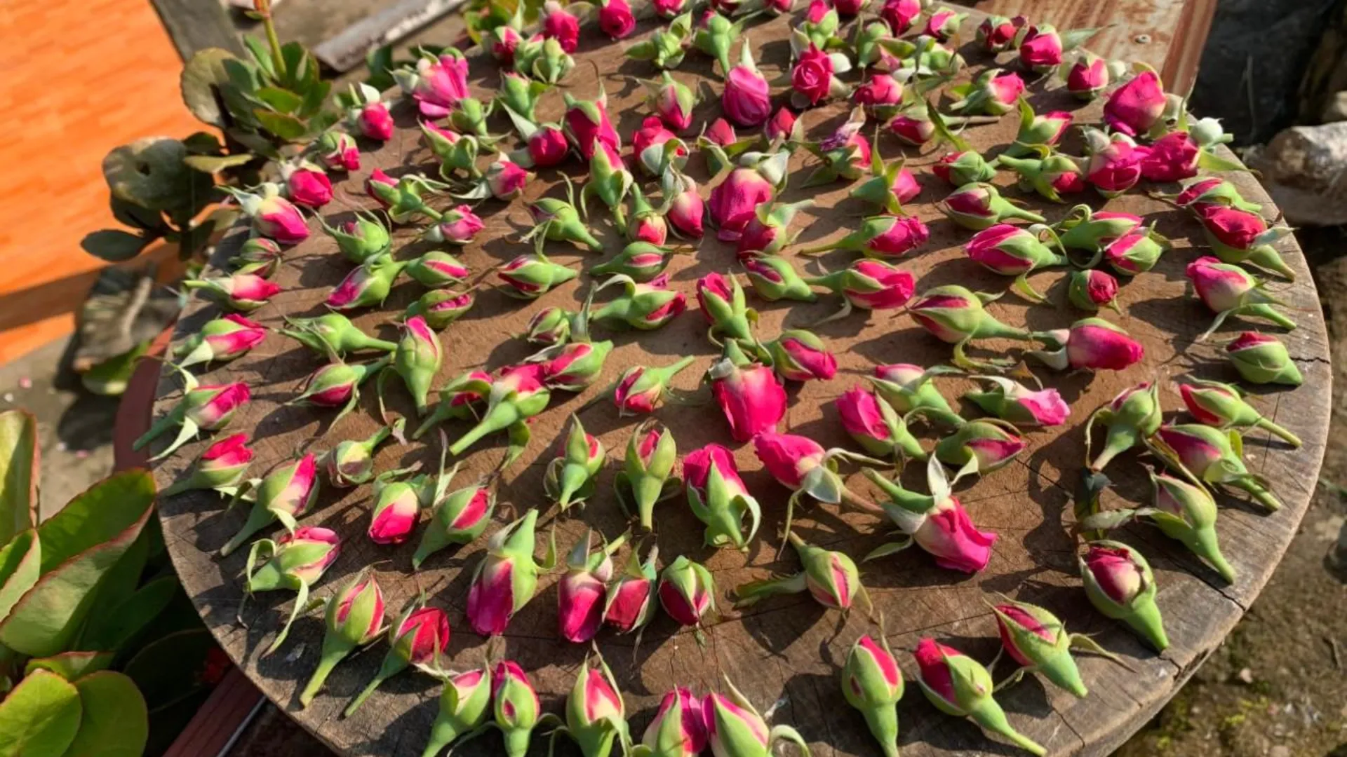 사파 사파 시내의 아파트먼트 (2000m², 침실 12개, 프라이빗 욕실 2개) 2성급 싱글룸 전망