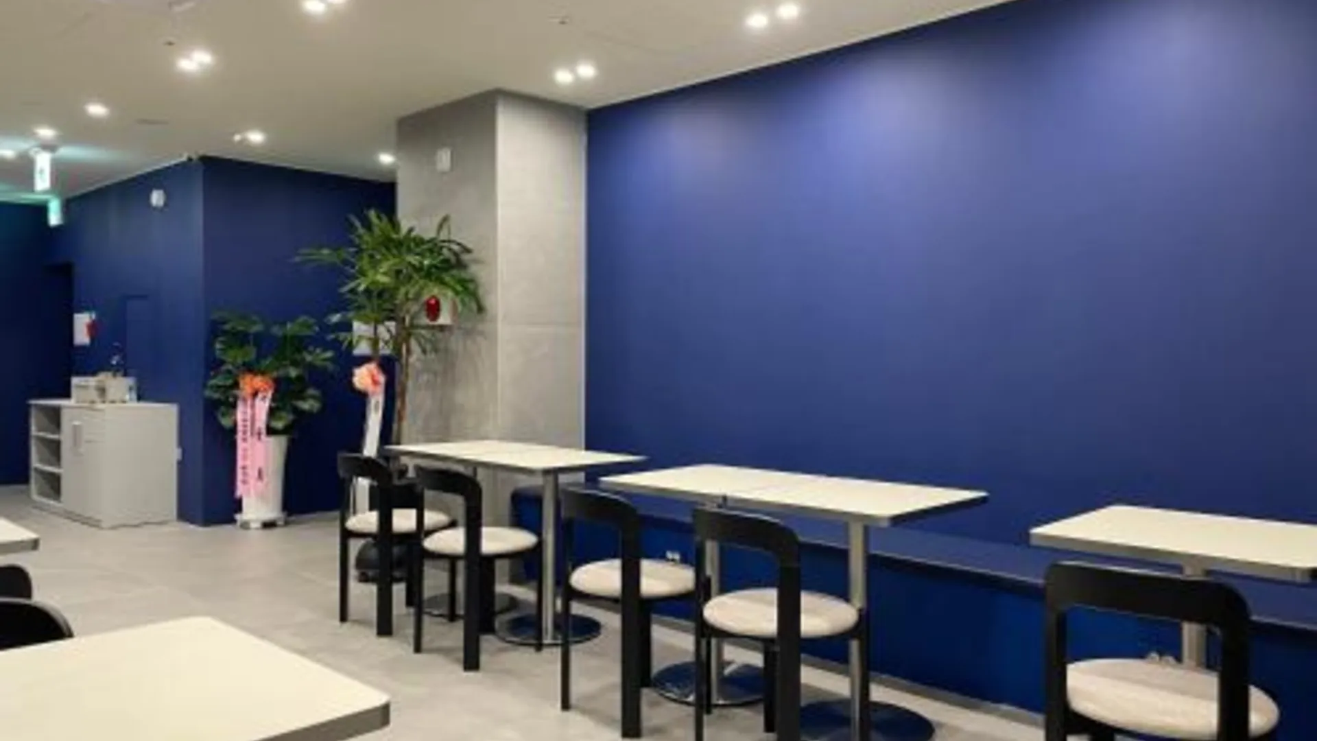 서울 종로 블루덕 호텔 호텔 수영장