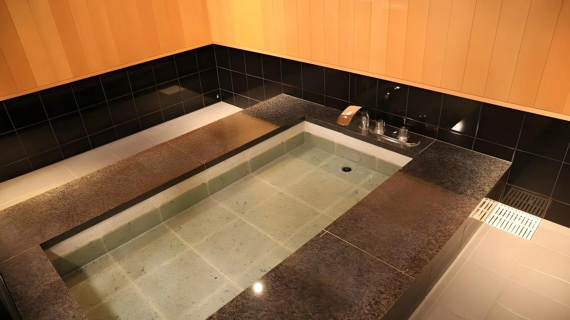 도쿄 / 동경 코고 료고쿠 2성급 호텔 부대시설