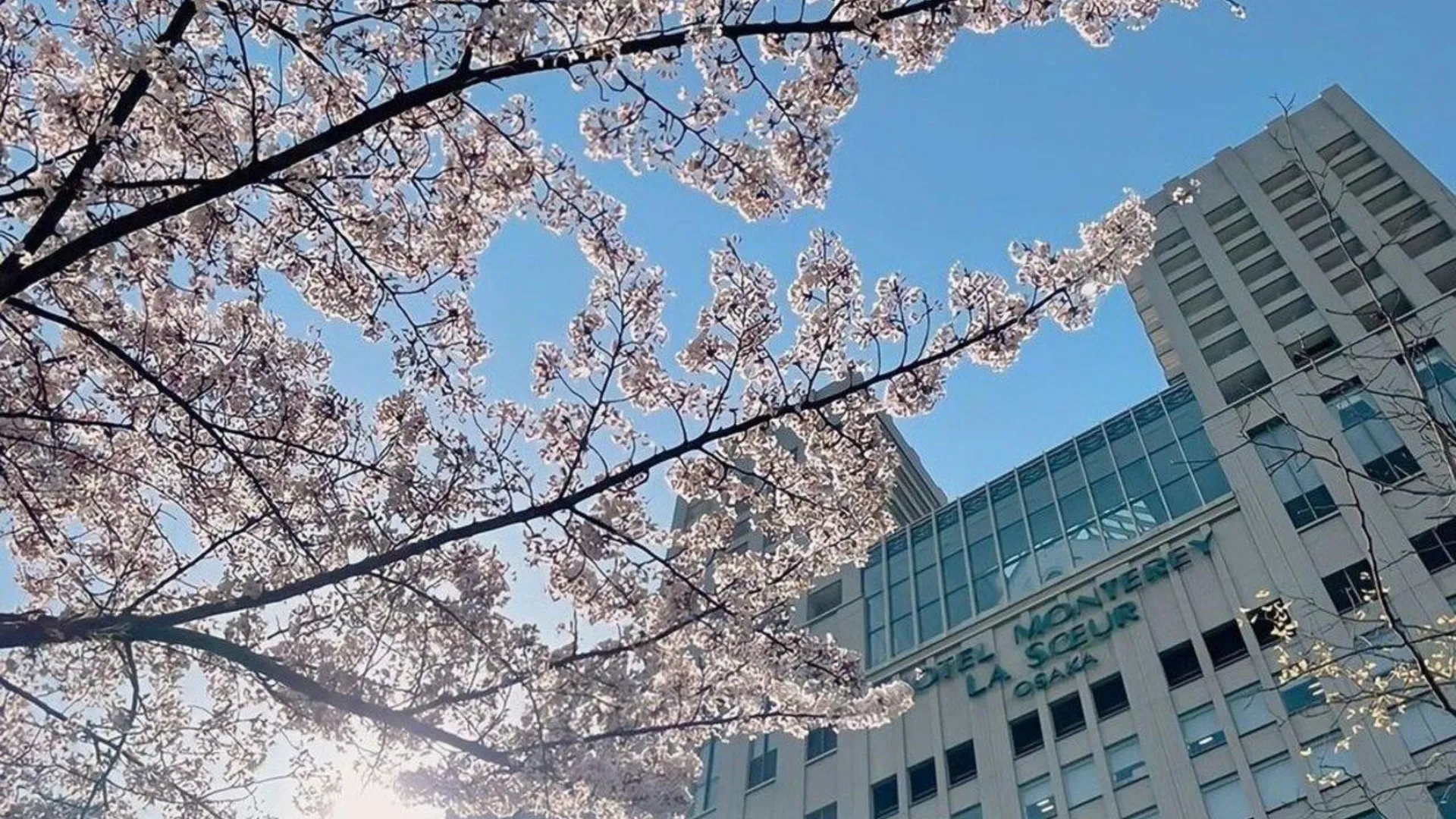 오사카 호텔 몬토레 라 스루 오사카 4성급 호텔 객실