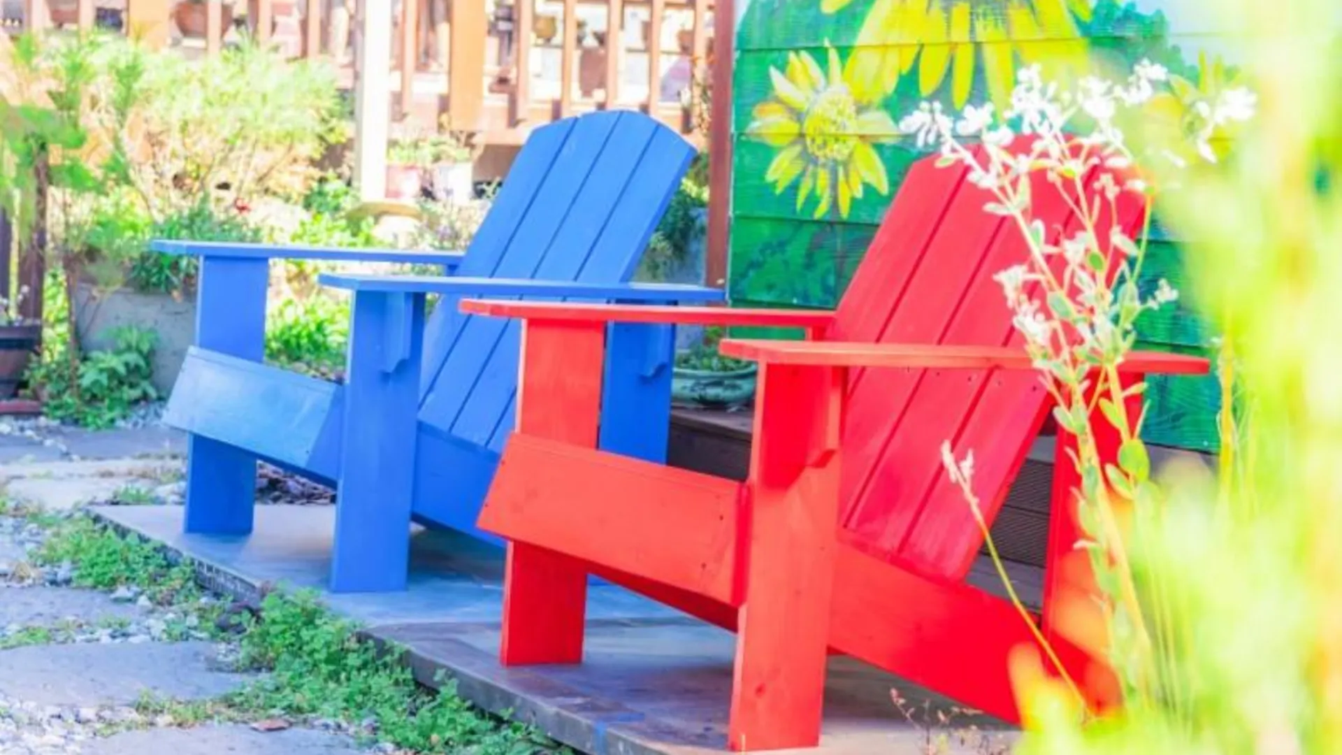 단양 단양 몽벨리펜션(소백산입구) 2성급 게스트하우스 전망