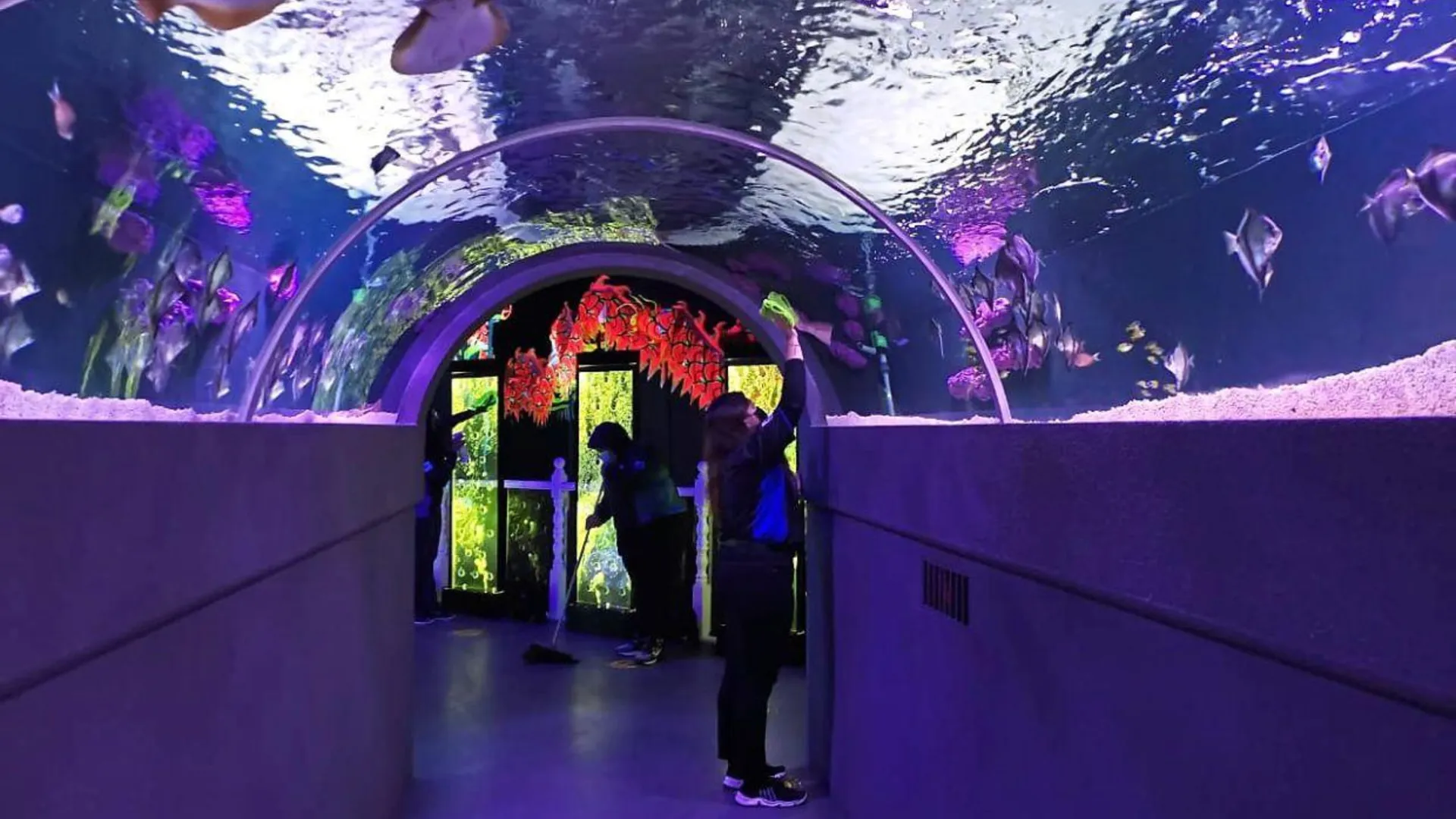 말라카 클레방의 아파트먼트 (90m², 침실 3개, 프라이빗 욕실 2개) 4성급 싱글룸 전망