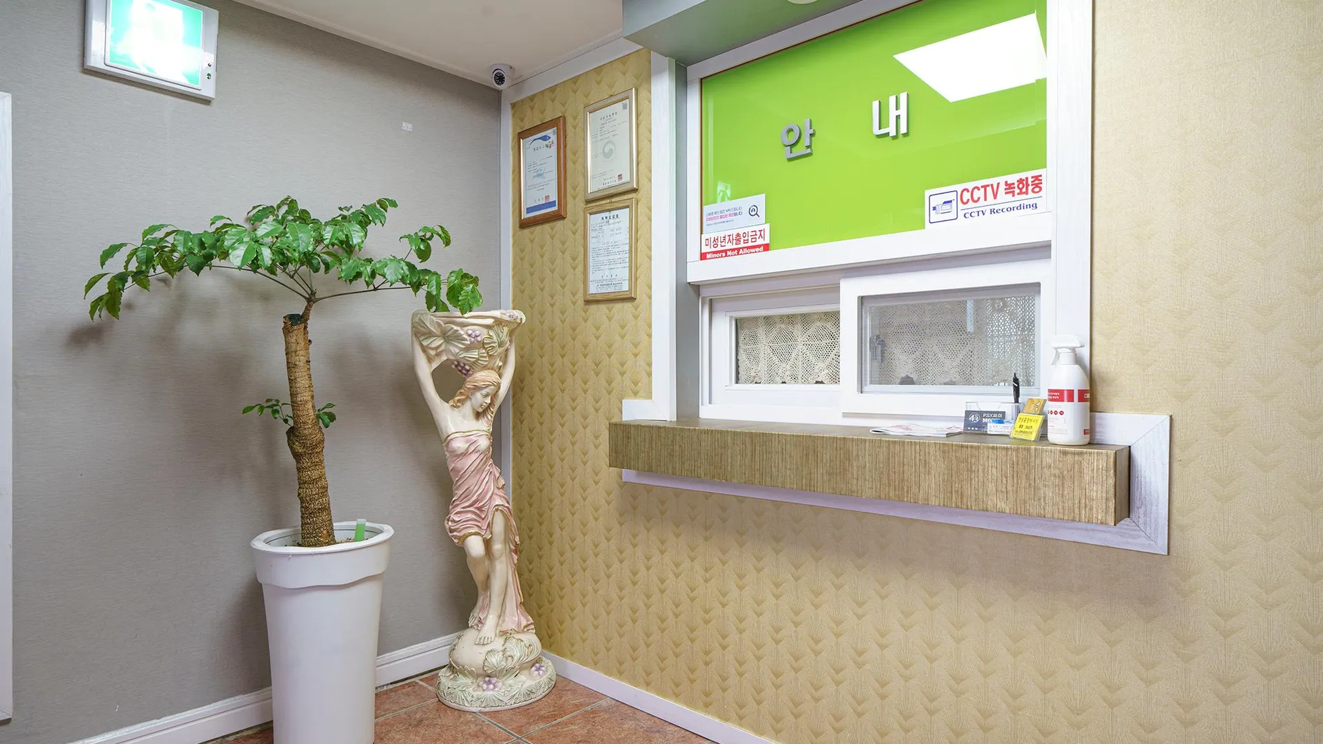 고성 고성 43싸이 1성급 호텔 수영장