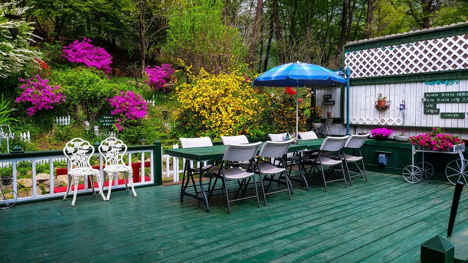 양양 양양 오색로뎀나무아래 1성급 싱글룸 로비