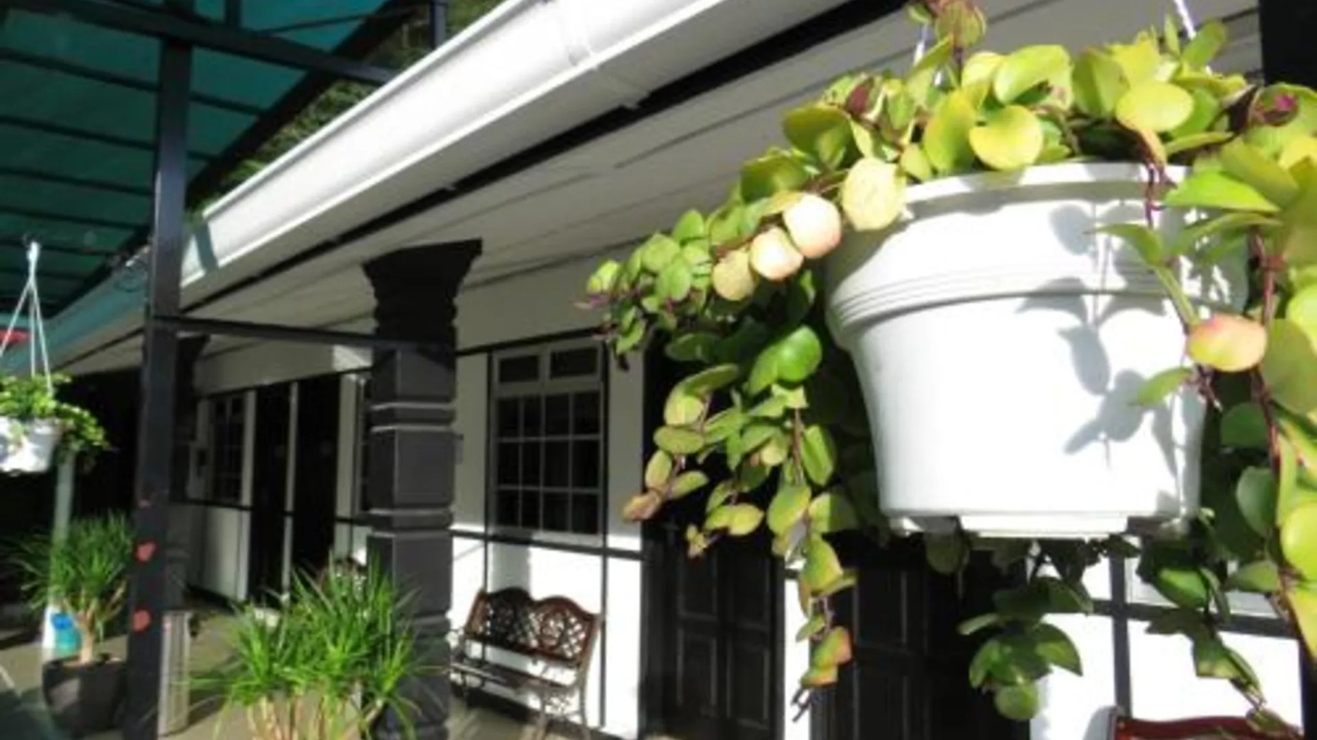 카메론 하일랜즈 Darulmakmur Chalet 3성급 게스트하우스 수영장