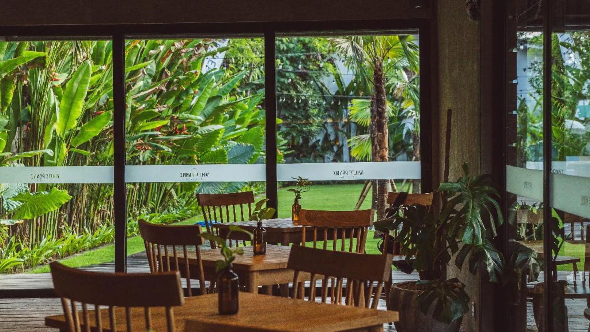 발리 화이트 페니 호스텔 2성급 호텔 수영장