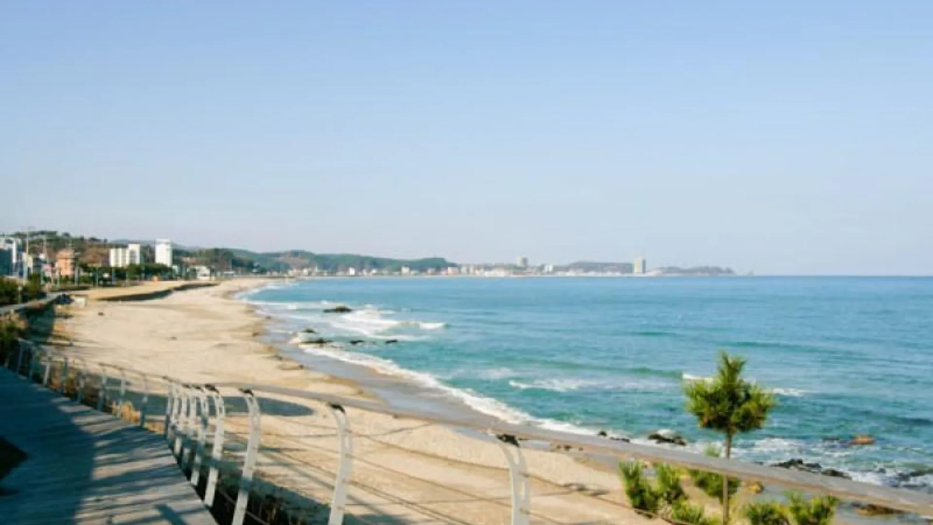 양양 양양 버드나무펜션 3성급 게스트하우스 레스토랑