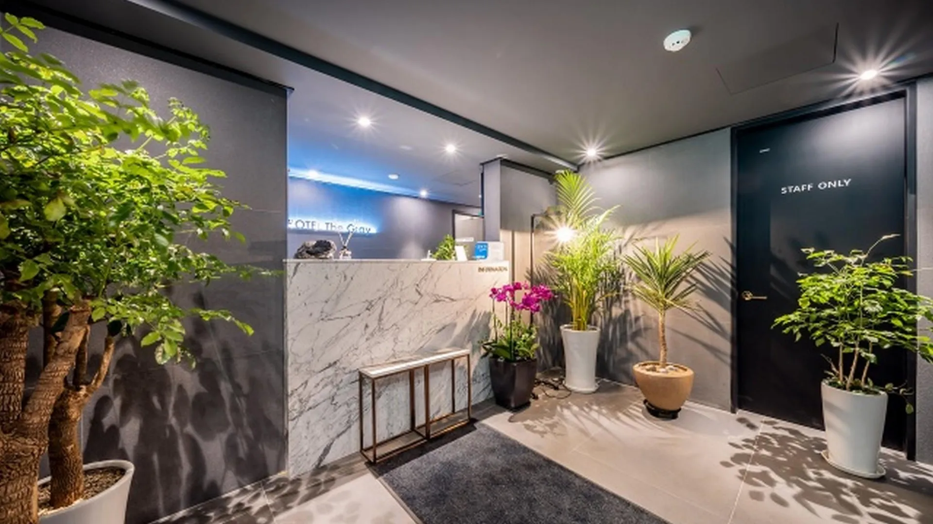 서울 홍대 더 그레이 호텔 호텔 외관