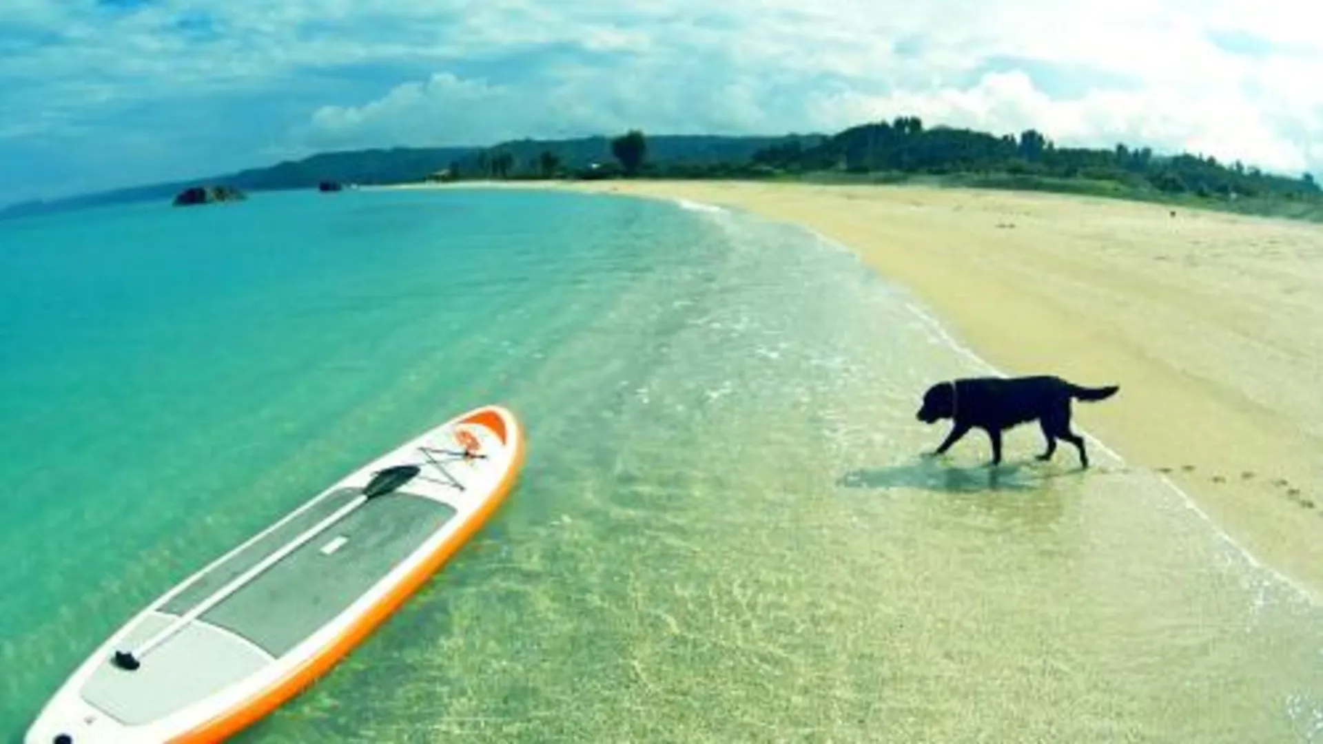 오키나와 본섬 오키나완 스위트 홈 T-8 4성급 게스트하우스 레스토랑