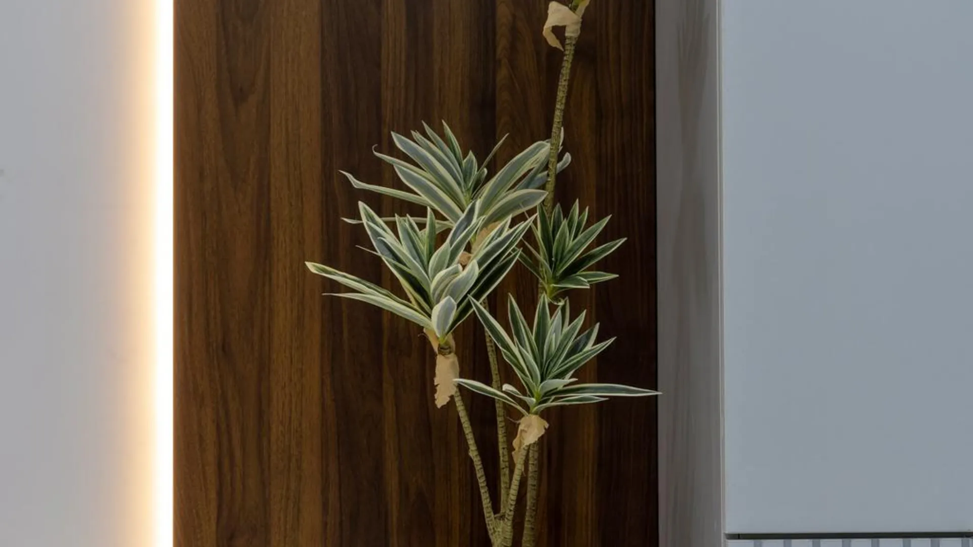 호치민 냐 사이공 4성급 게스트하우스 레스토랑