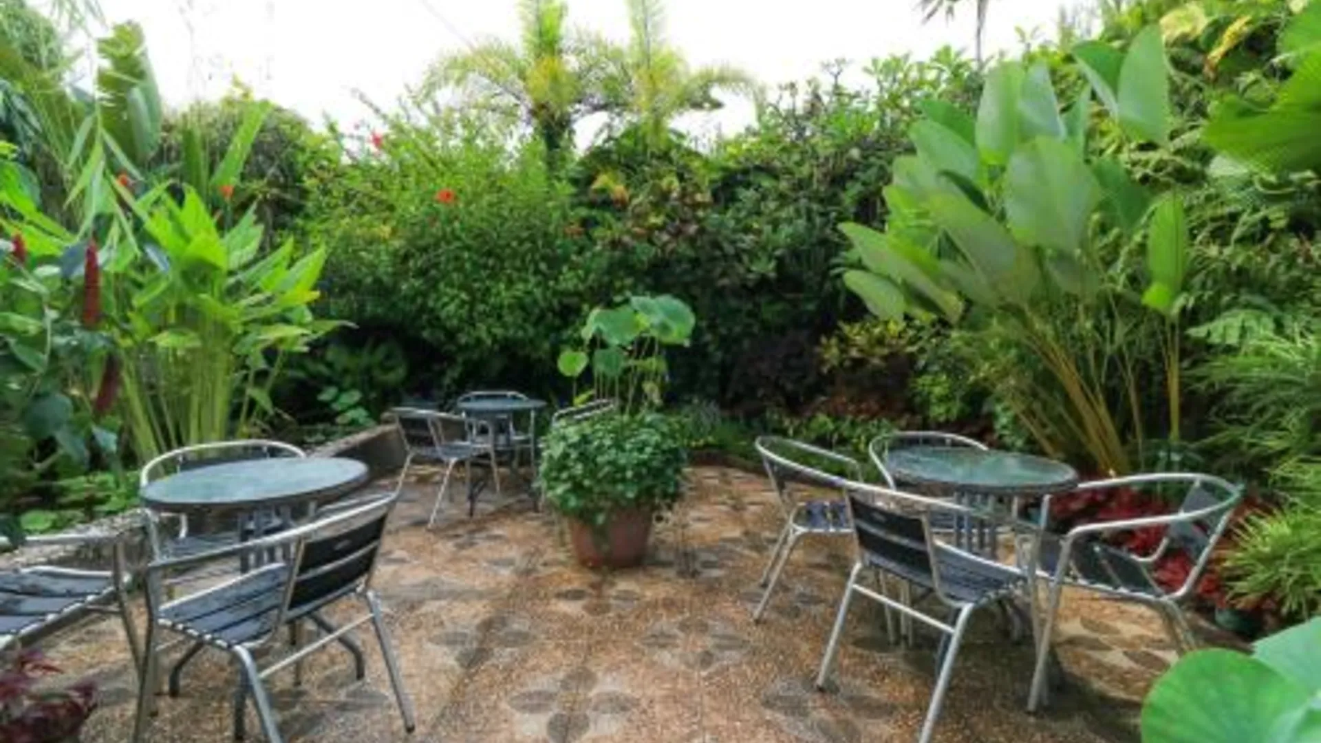 마카사르 Labuana Homestay and Cafe Garden Makassar 3성급 게스트하우스 레스토랑