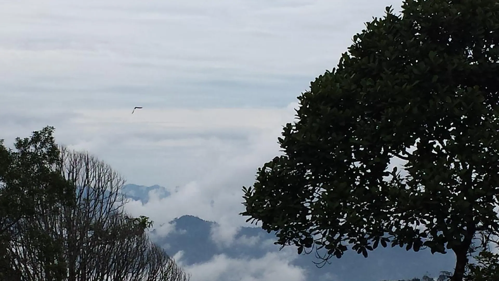 Bukit Fraser 프레저 힐의 아파트먼트 (95m², 침실 2개, 프라이빗 욕실 2개) 2성급 싱글룸 부대시설
