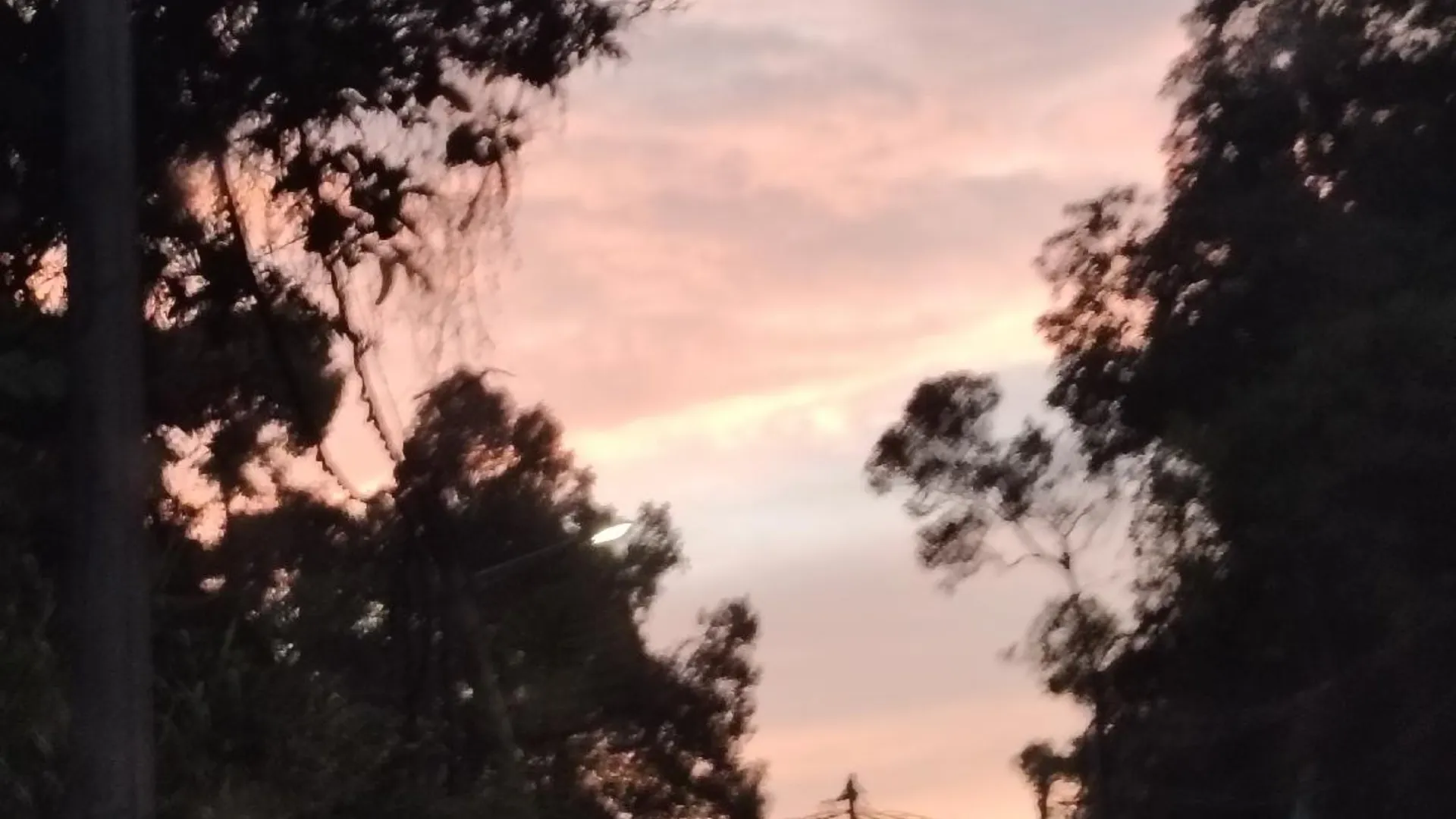 카메론 하일랜즈 타나 라타의 아파트먼트 (1000m², 침실 3개, 프라이빗 욕실 2개) 3성급 게스트하우스 전망