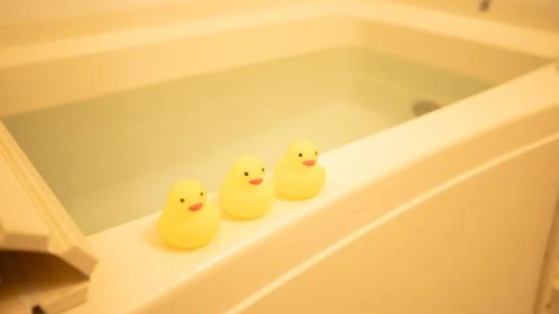 도쿄 / 동경 bicyclettesumida 4성급 싱글룸 수영장