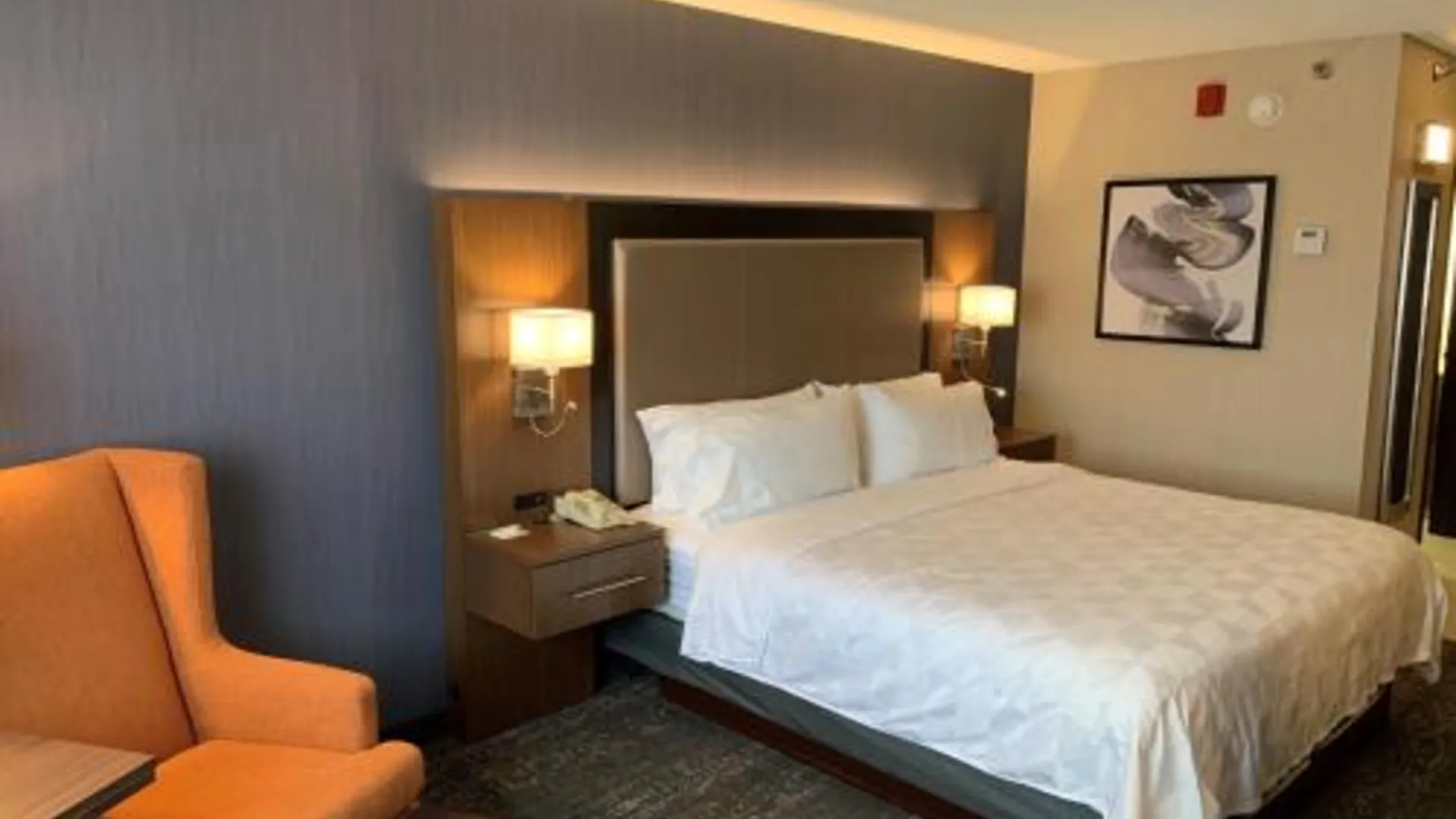 캐롤 스트림 (IL) 홀리데이 인 앤 스위트 시카고-캐롤스트림 (위튼) 바이 IHG 3성급 호텔 스위트룸