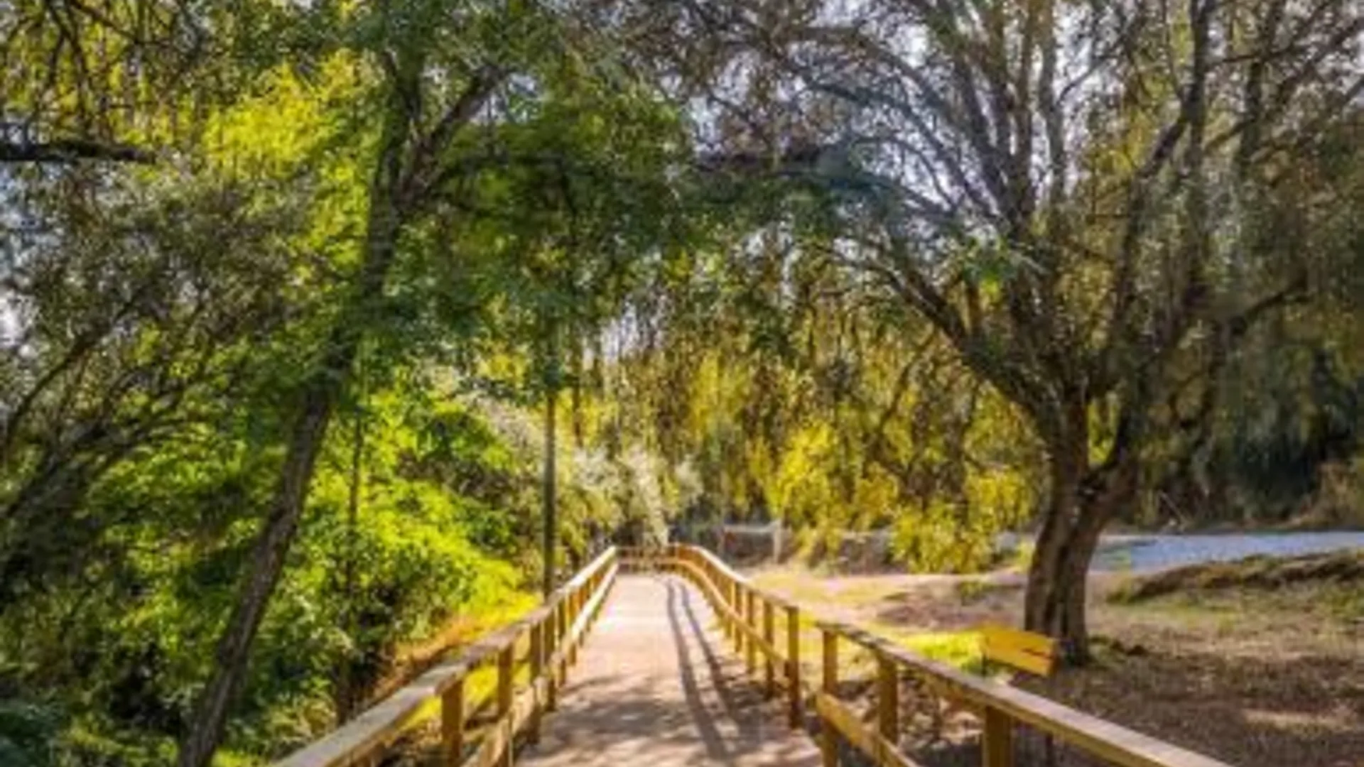 카베코 데 비데 Termas da Sulfurea 3성급 호텔 객실