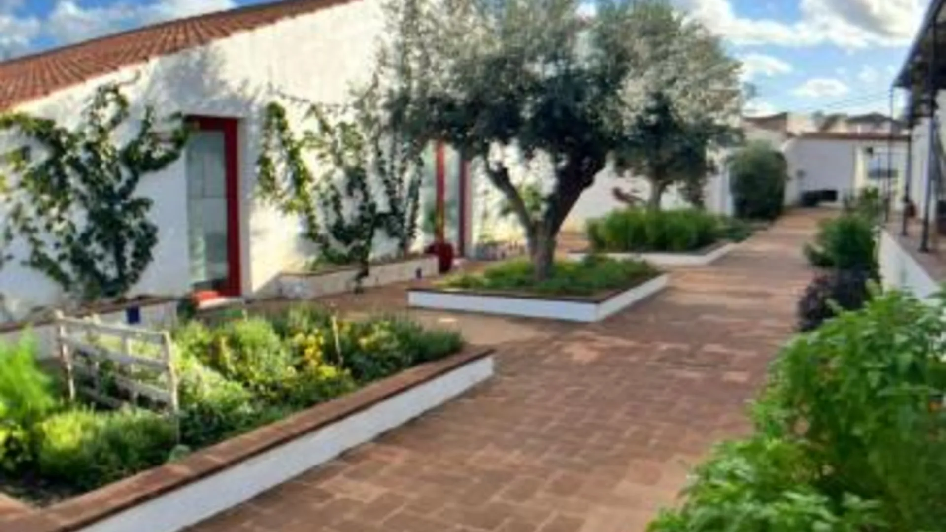 몬사라츠 Viva! Farmhouse 4성급 게스트하우스 레스토랑