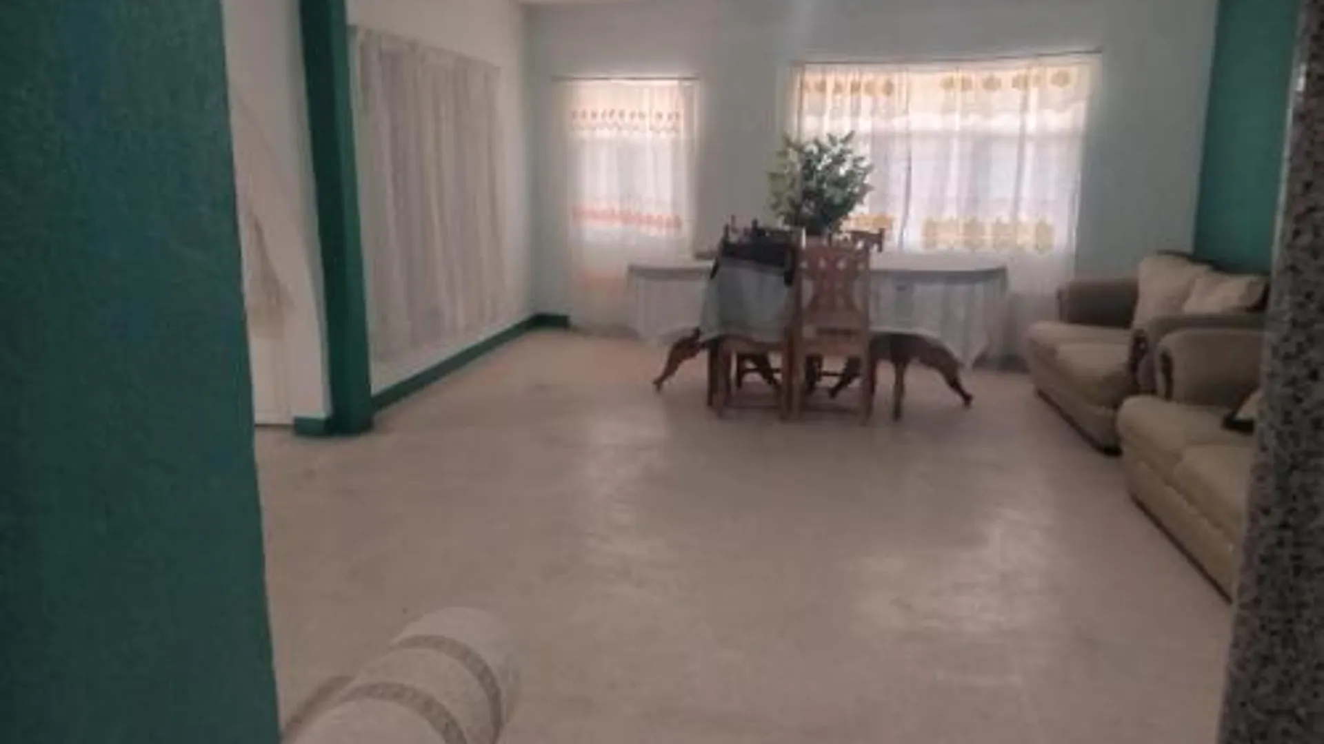 오악사카 casa los patos 1성급 싱글룸 부대시설