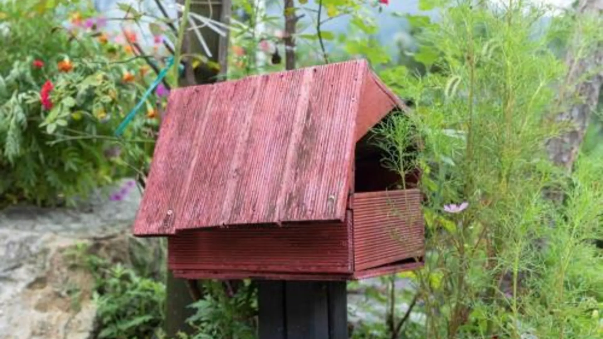 가평 T 펜션 3성급 게스트하우스 전망