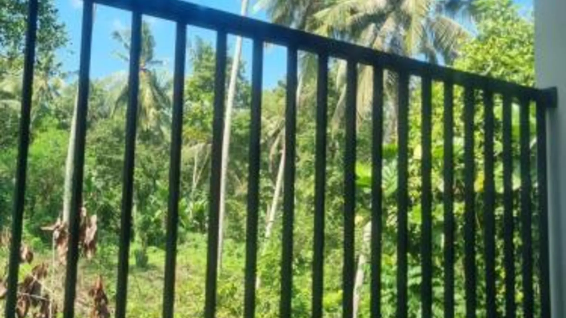 발리 Happy Spiritus Guethouse Tabanan 3성급 호텔 부대시설