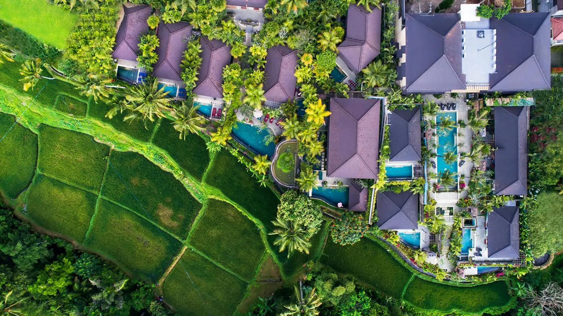 발리 디와라카 더 로열 빌라 4성급 호텔 객실