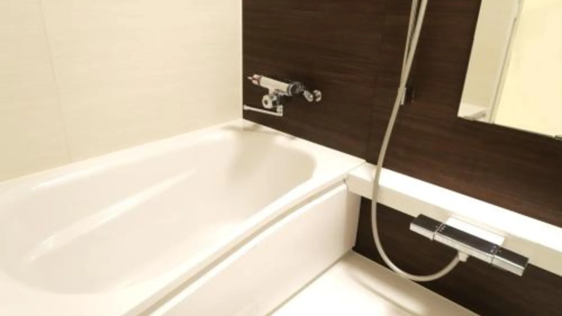 도쿄 / 동경 이케부쿠로 센트럴 호텔 2성급 호텔 수영장