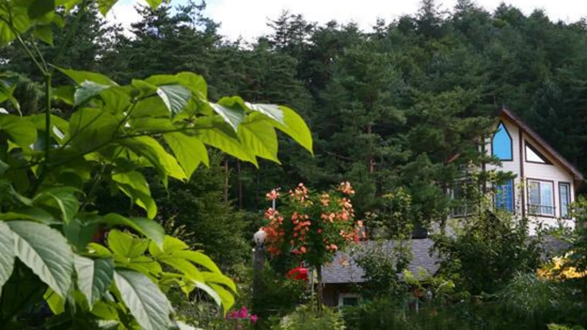 양양 양양 환상의성펜션 2성급 게스트하우스 객실