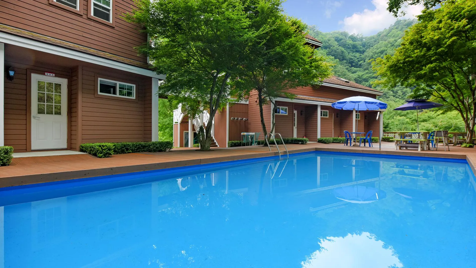 양양 양양 꿈꾸는숲펜션 1성급 게스트하우스 객실