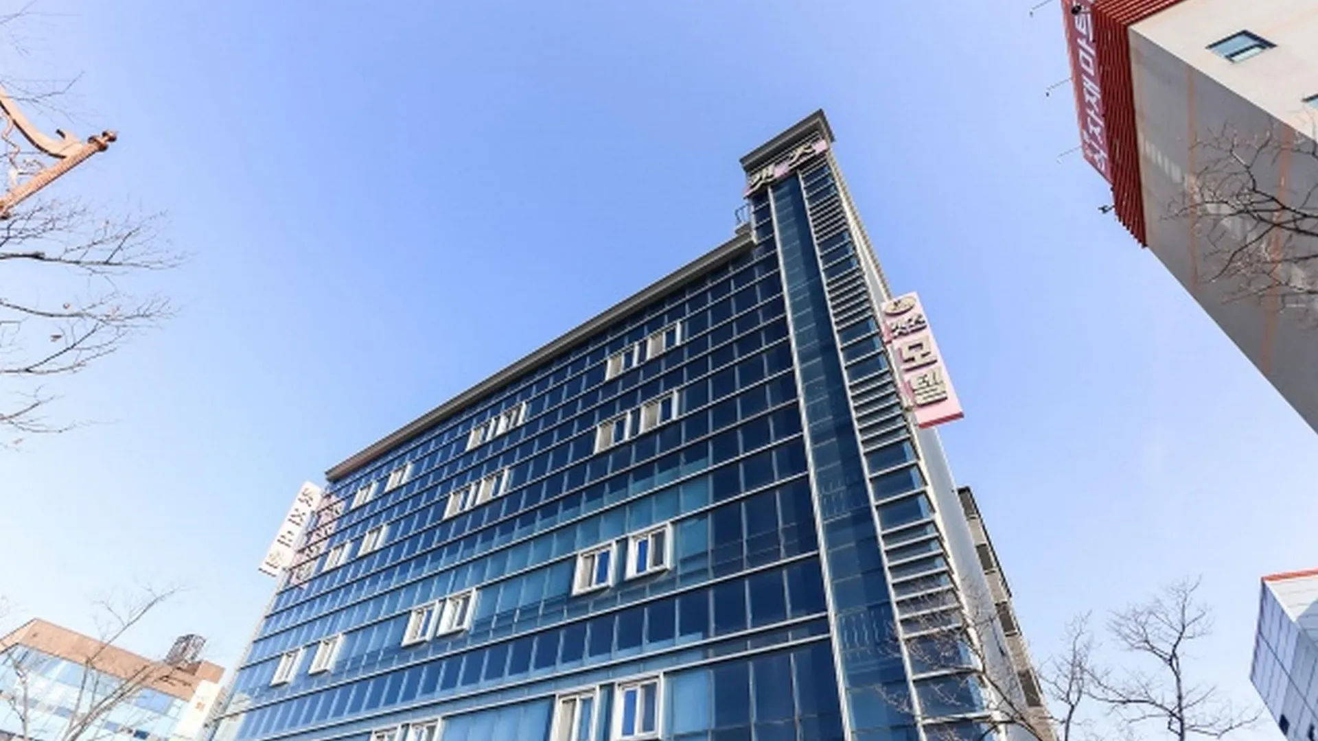 강릉 강릉 캣츠 호텔 로비