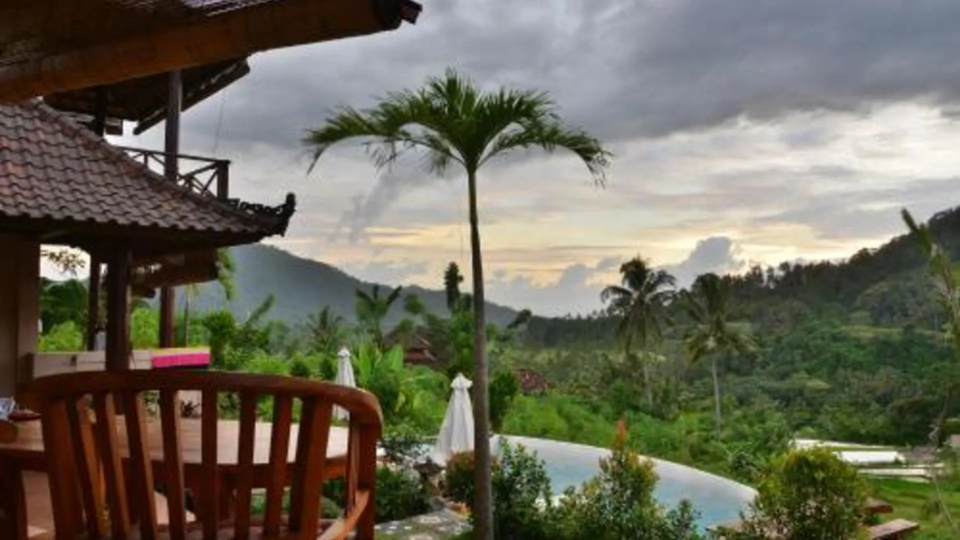 발리 아르타 나디 빌라 3성급 호텔 수영장