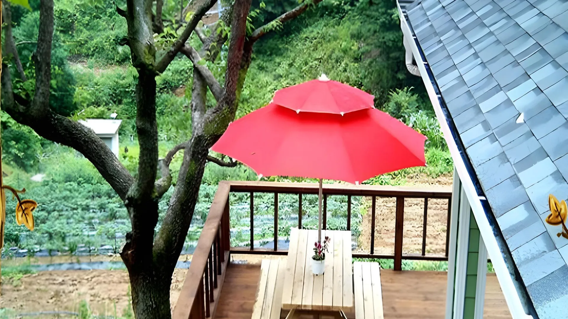 가평 별빛언덕 펜션 4성급 게스트하우스 수영장